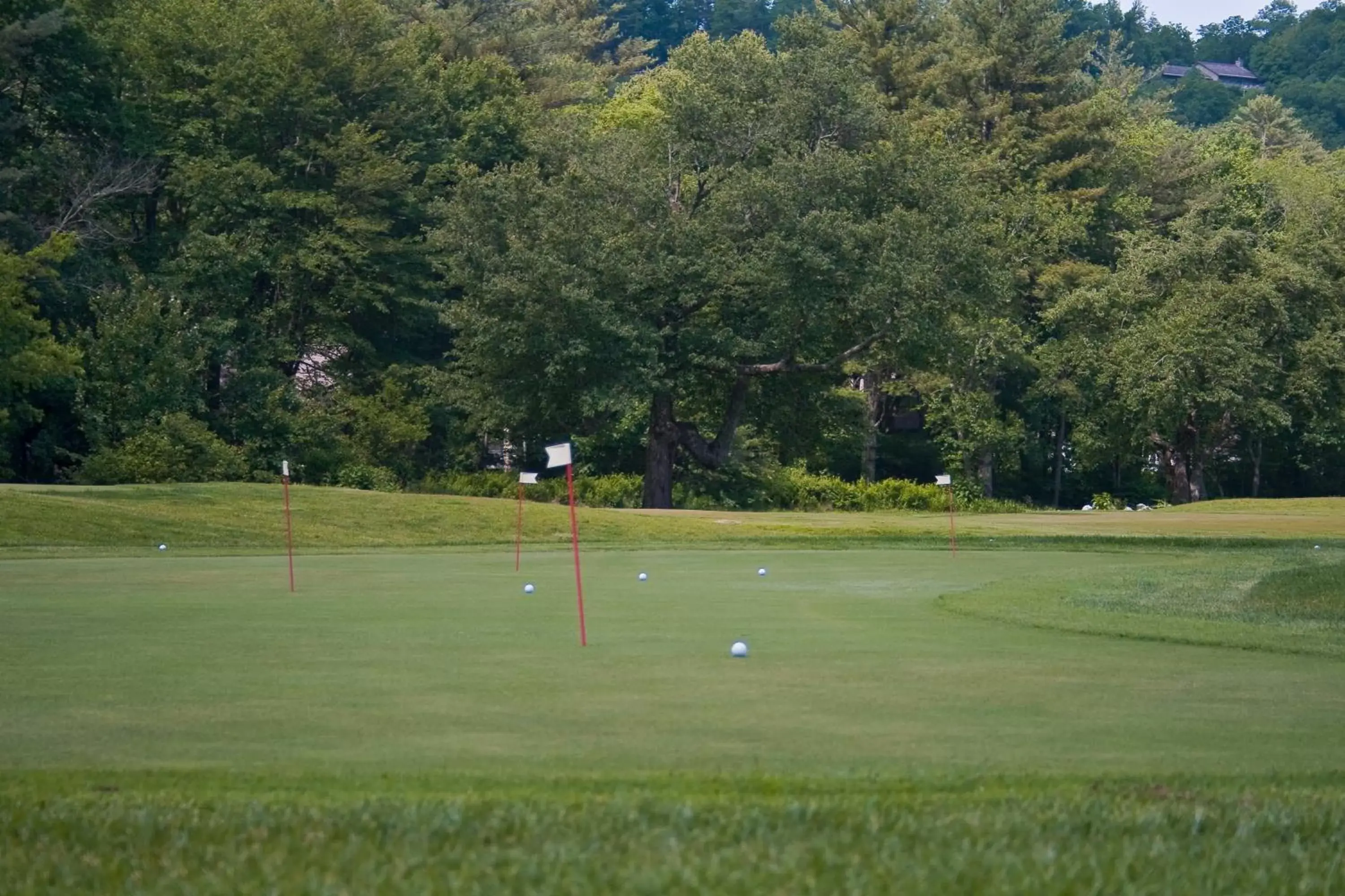 Golfcourse, Golf in Foxhunt at Sapphire Valley by Capital Vacations