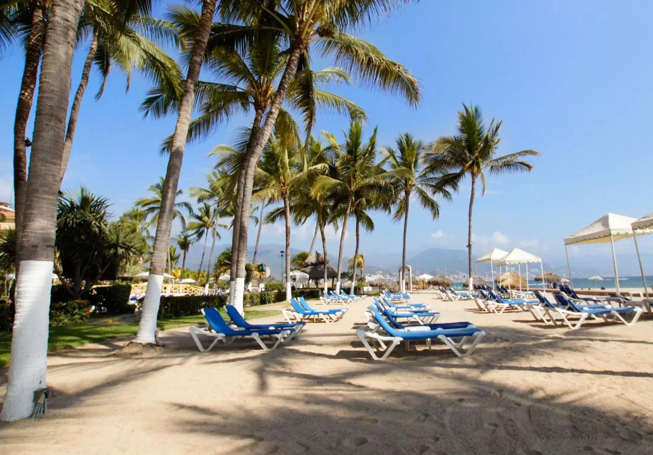 Beach in Sunscape Puerto Vallarta Resort & Spa - All Inclusive