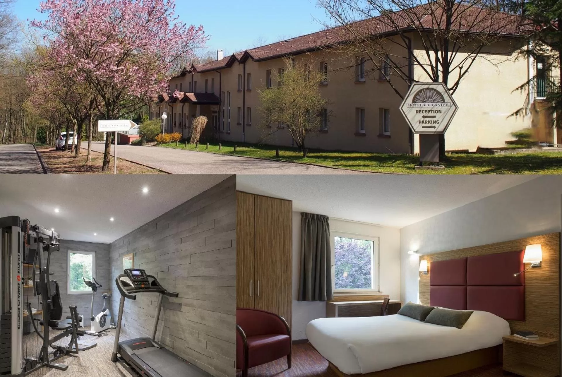 View (from property/room) in Hôtel et Restaurant Aster, Saint-Avold Nord