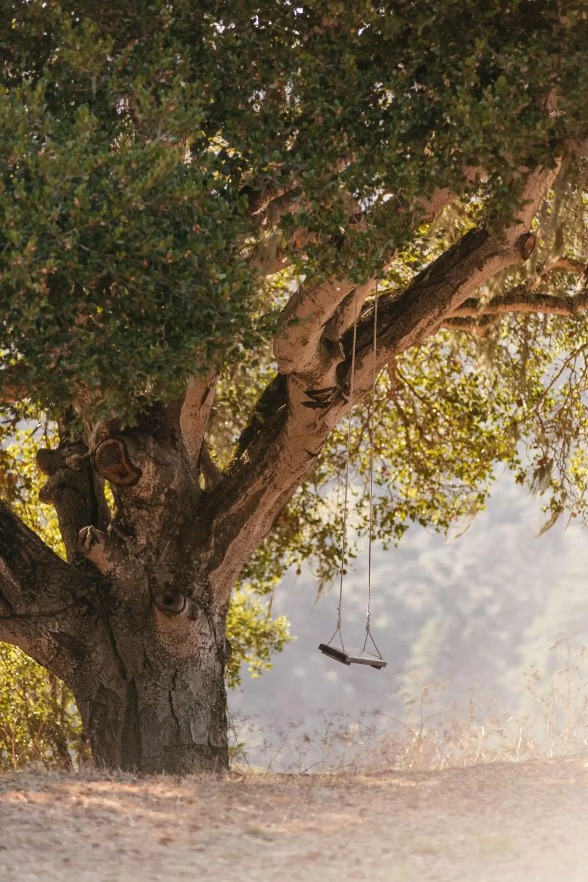 Property building, Natural Landscape in Carmel Valley Ranch, in The Unbound Collection by Hyatt