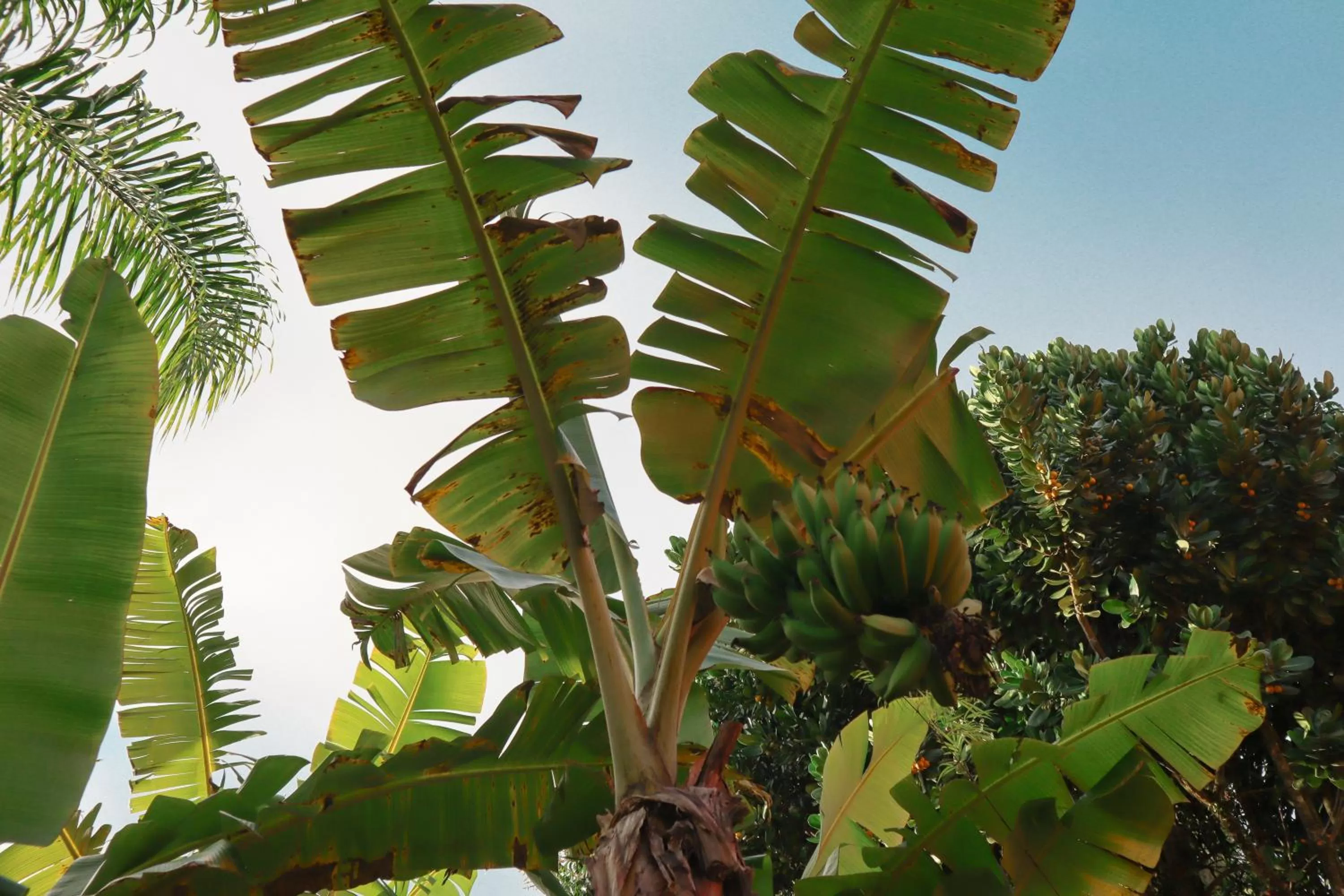 Property building in Janela de Marcia Bed and Breakfast