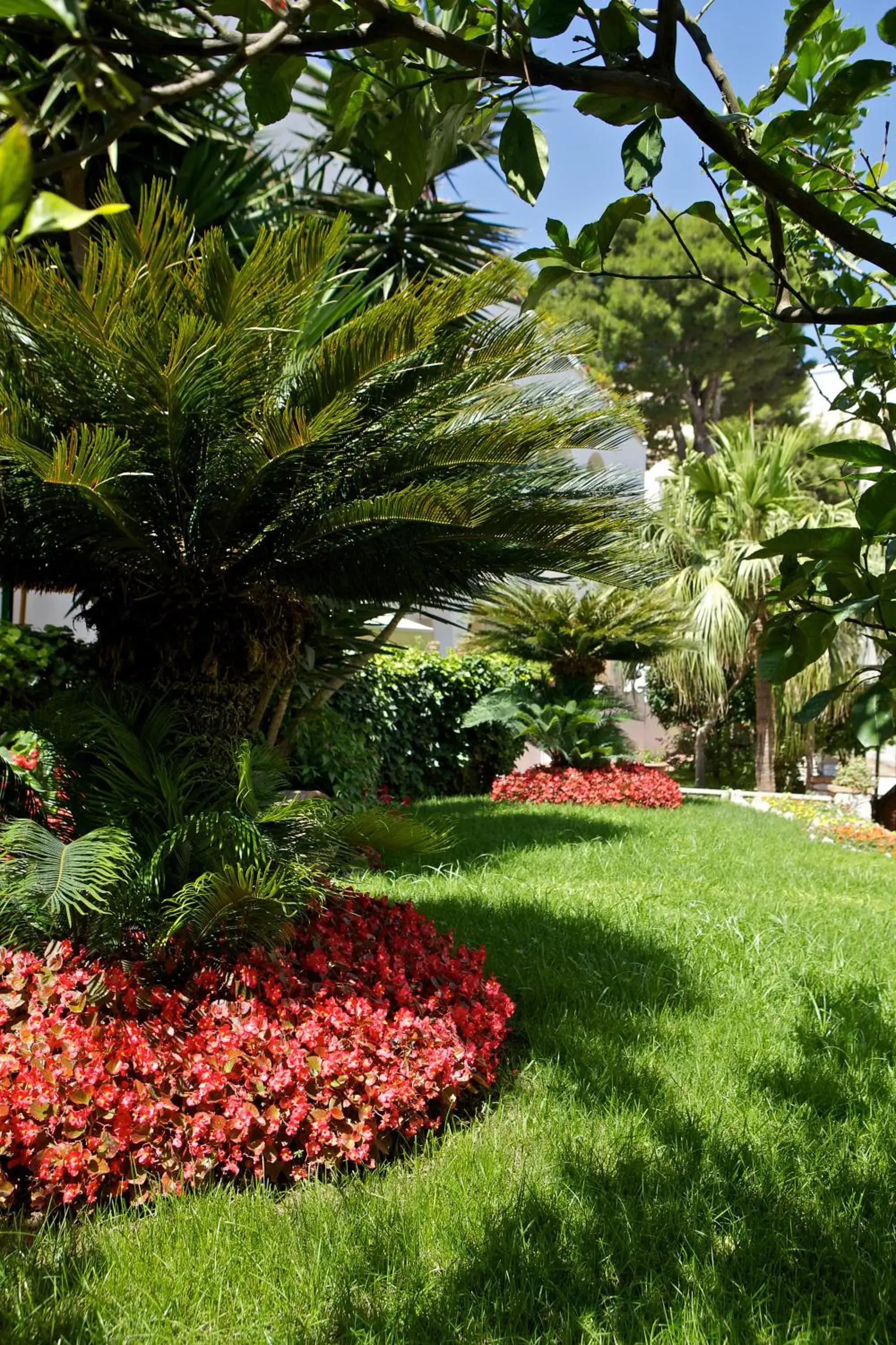 Garden in Hotel San Felice