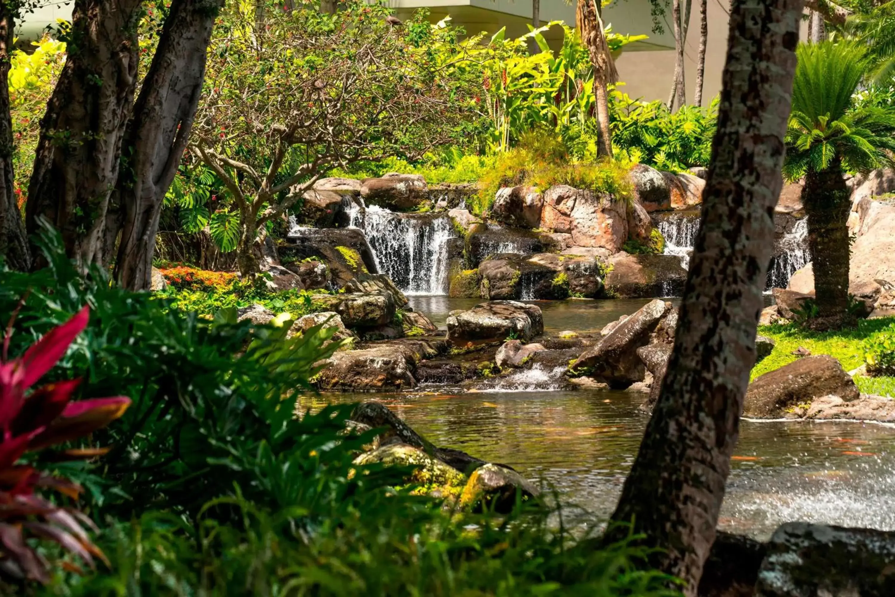 On site, Garden in The Royal Sonesta Kauai Resort Lihue