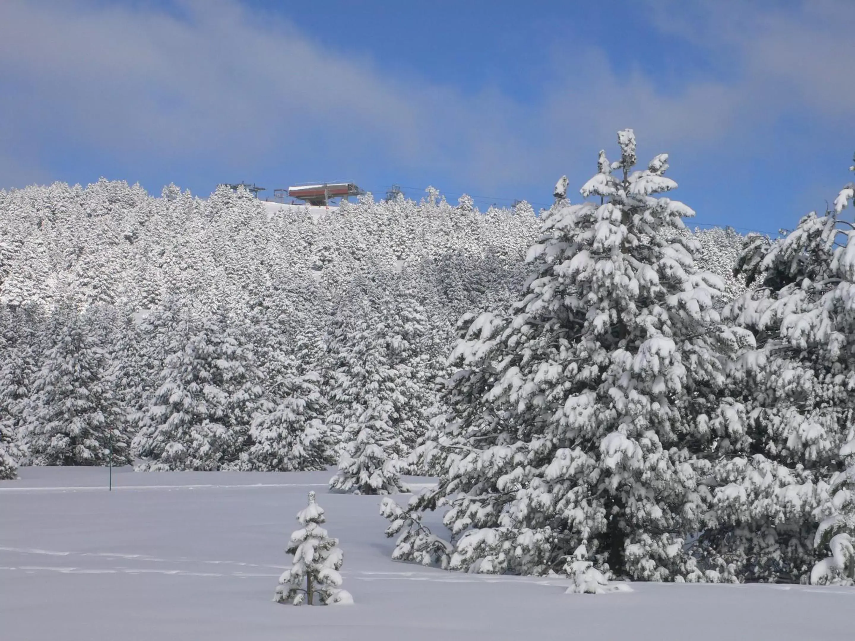 Off site, Winter in Résidence Le Pic de l'Ours