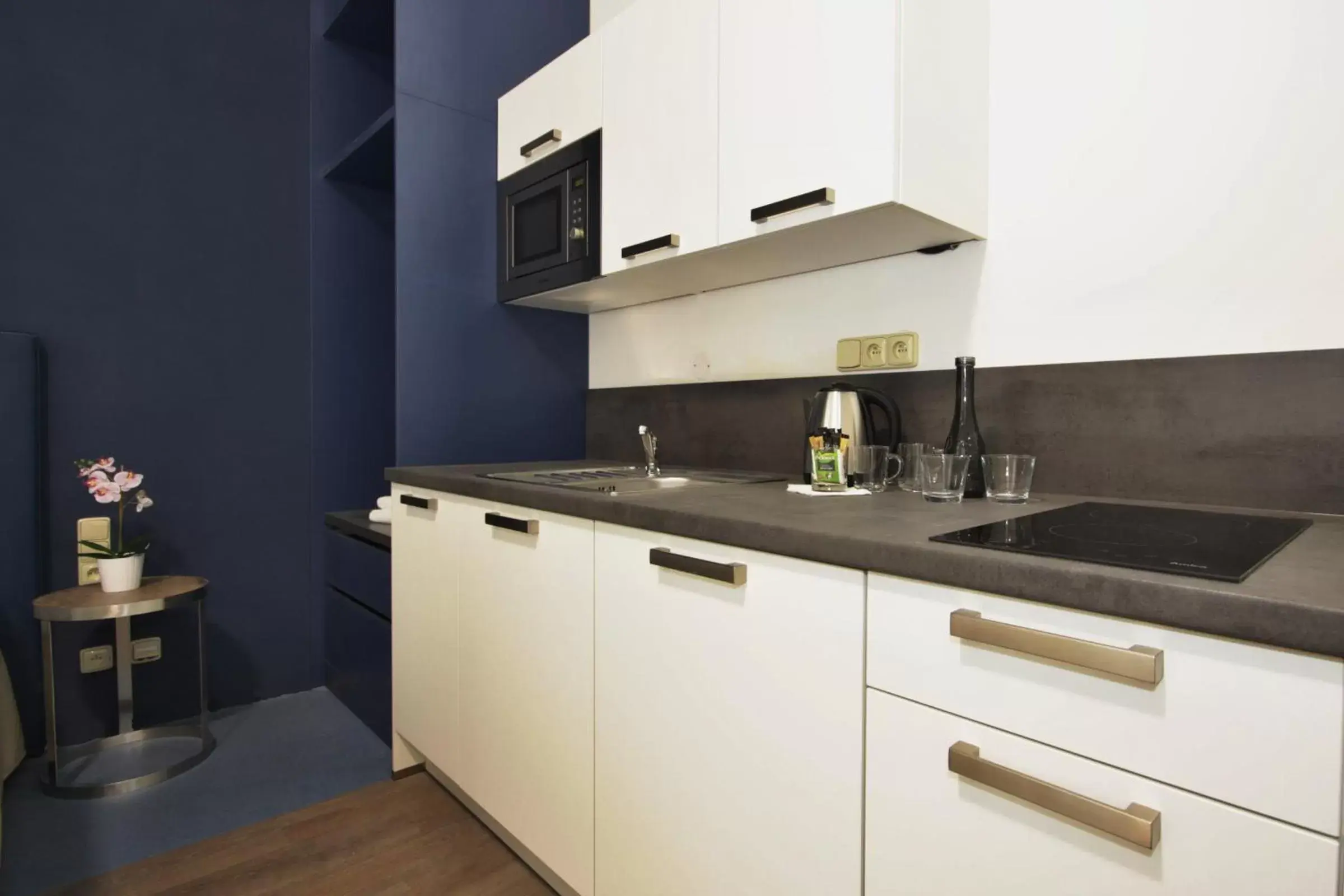 Kitchen or kitchenette, Kitchen/Kitchenette in Alveo Suites