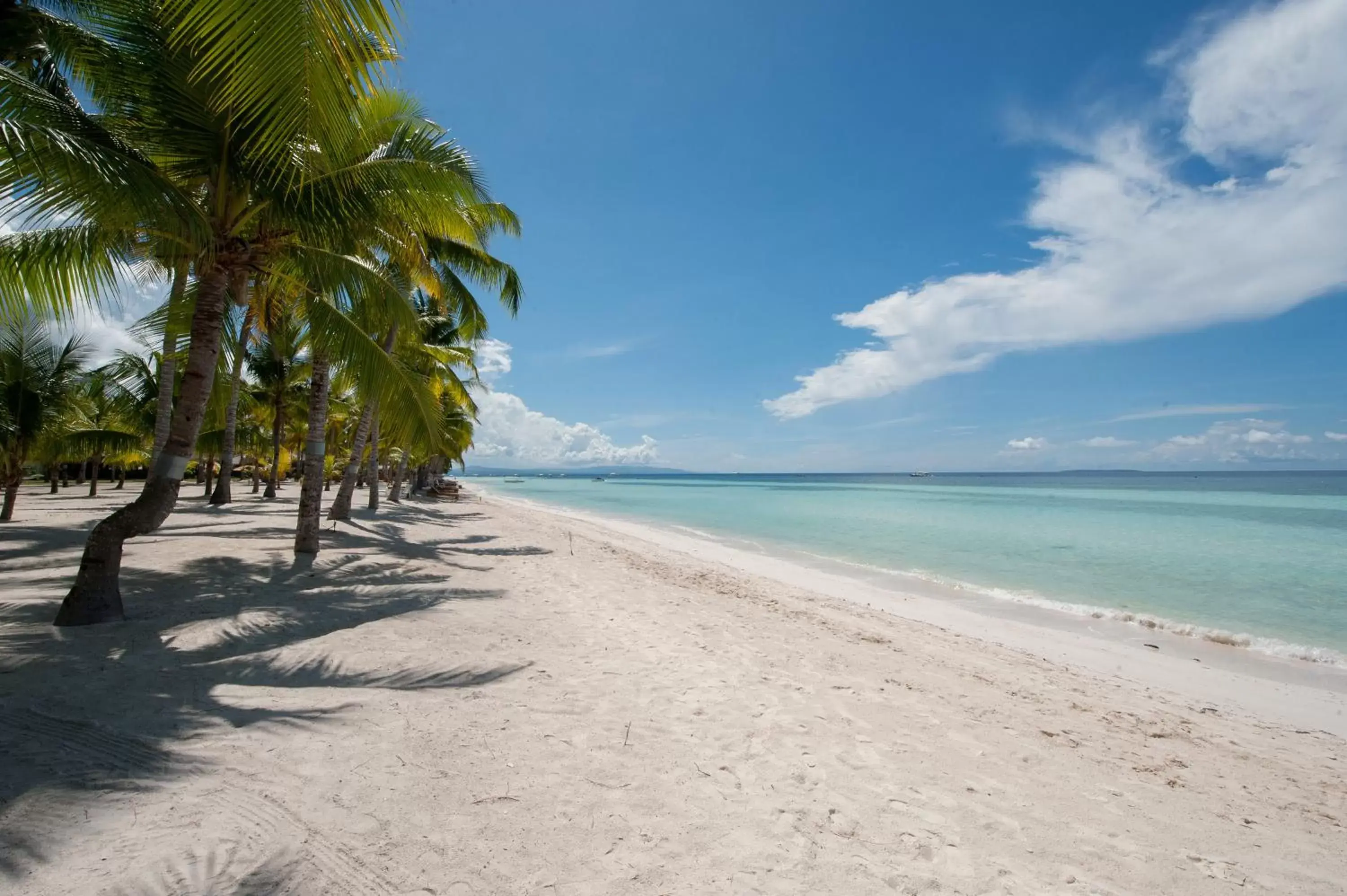 Beach in Bohol Beach Club