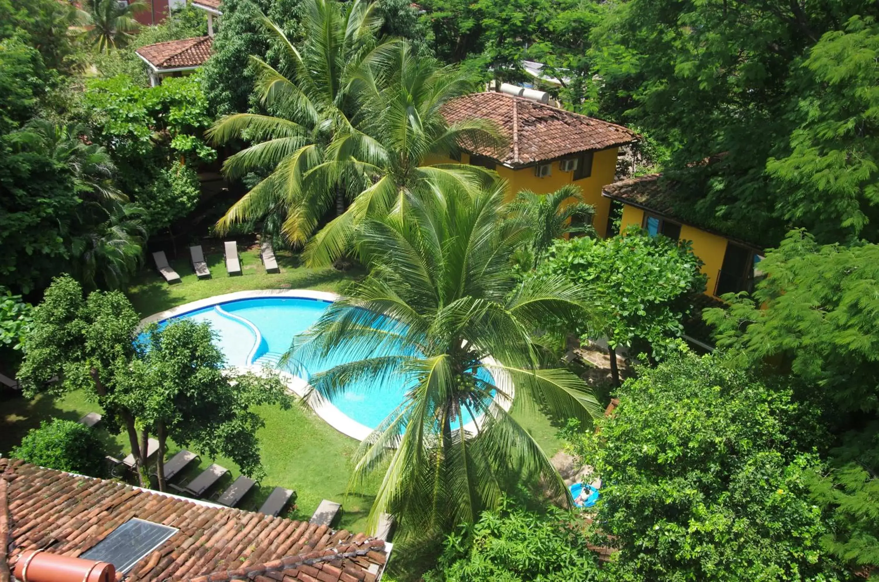 Garden, Pool View in Villas Macondo