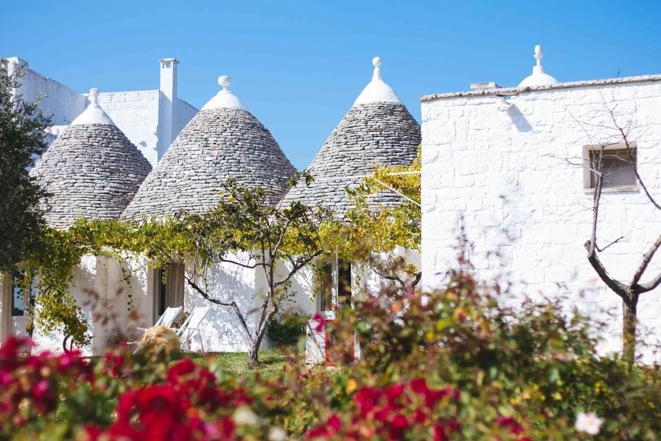 Property building in Masseria Cervarolo