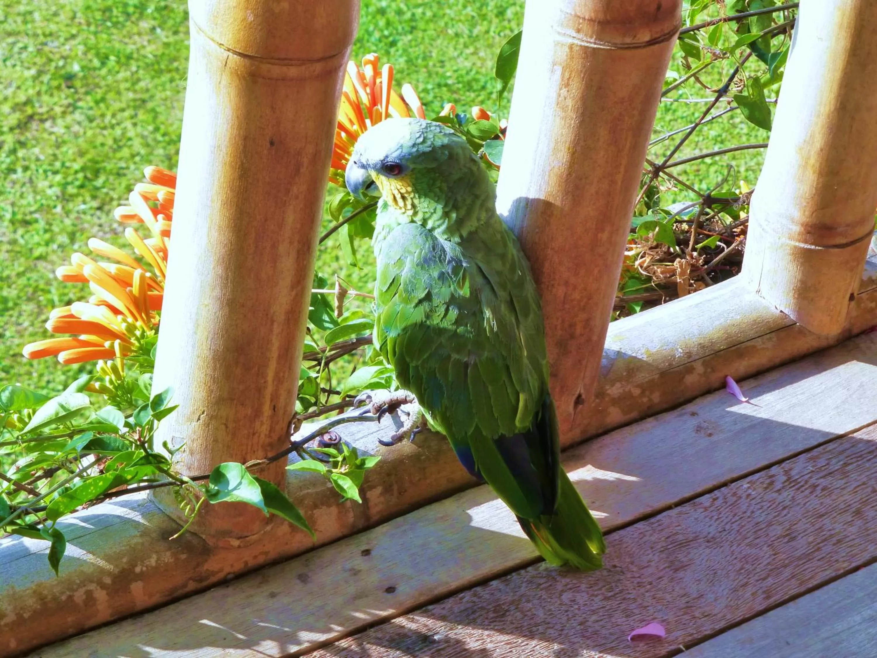 Area and facilities in Finca El Cielo