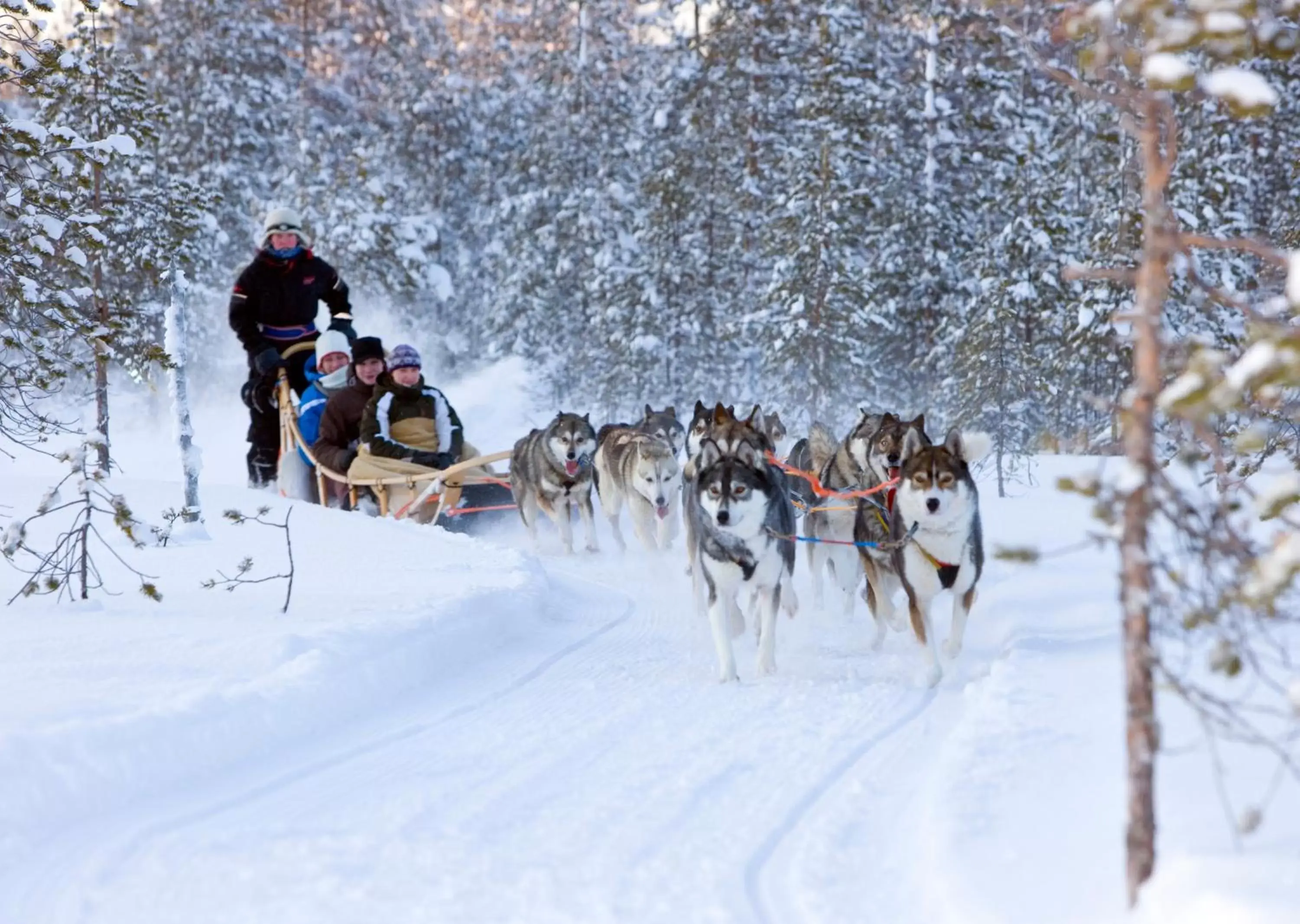 People, Winter in Santa Claus Holiday Village