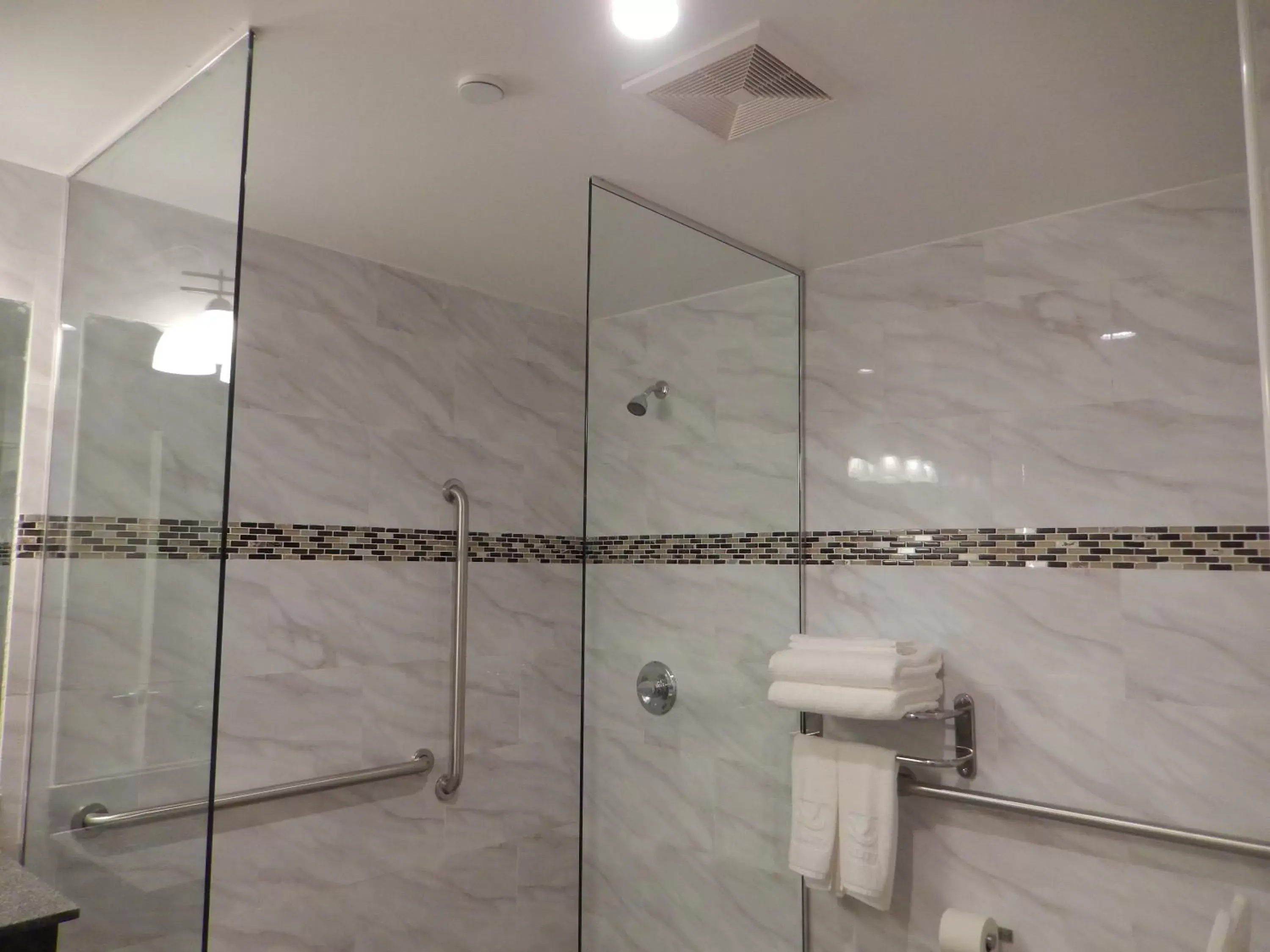 Shower, Bathroom in Quality Inn near Sunset Park