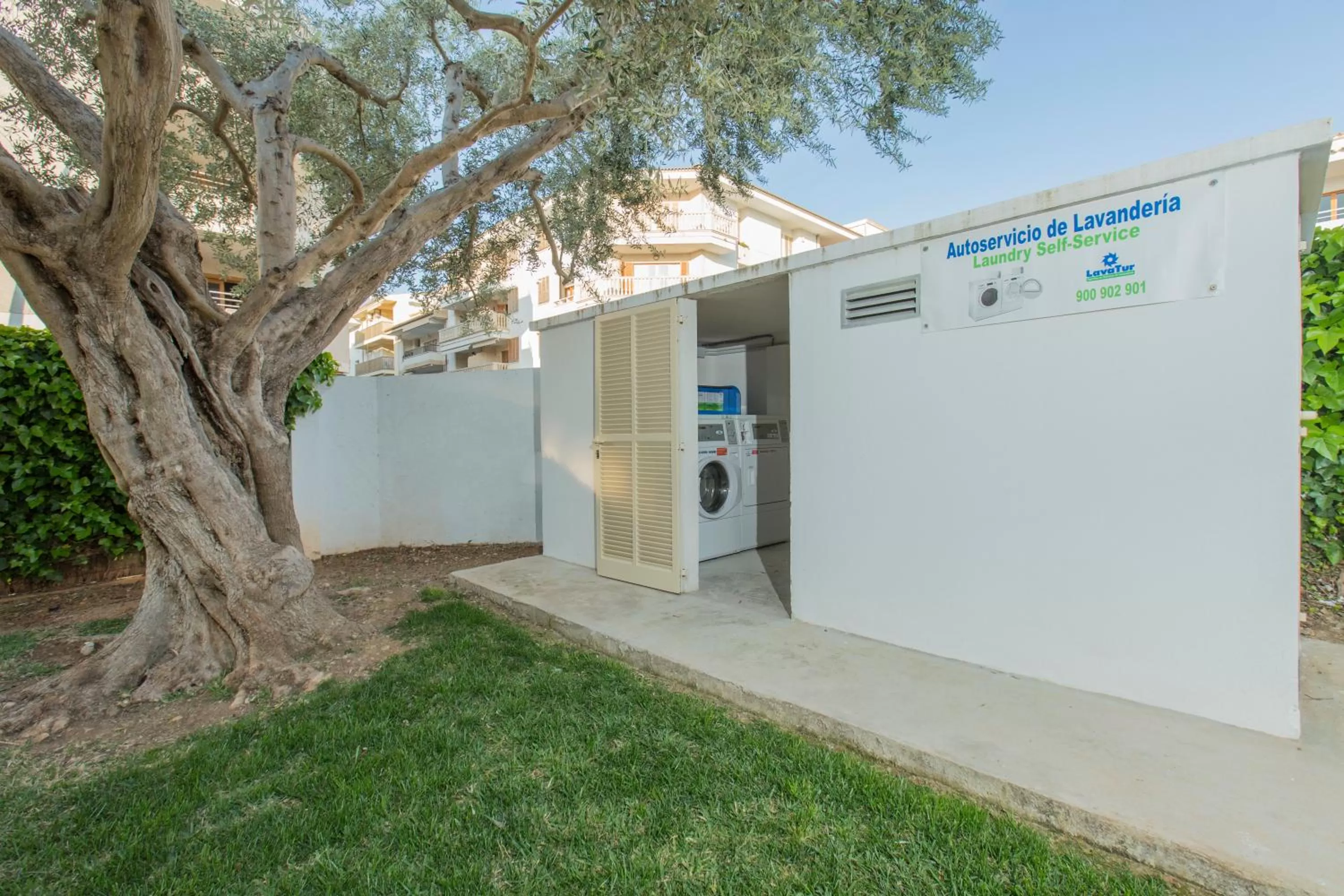 Area and facilities in Aparthotel Flora