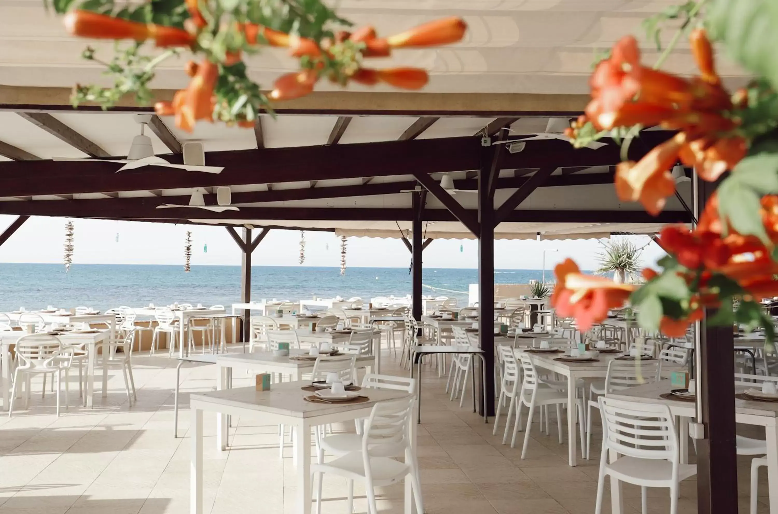Restaurant/Places to Eat in Hotel Noguera Mar