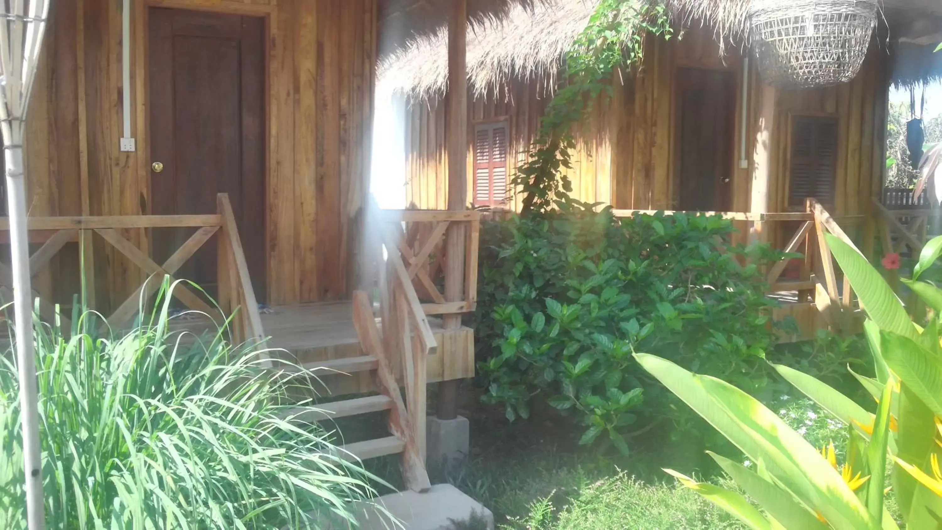 Garden view in Bird of Paradise Bungalows