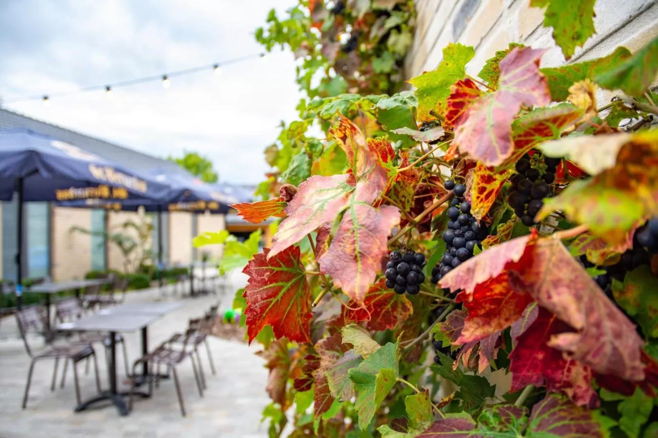 Restaurant/places to eat in Oud Gemeentehuis