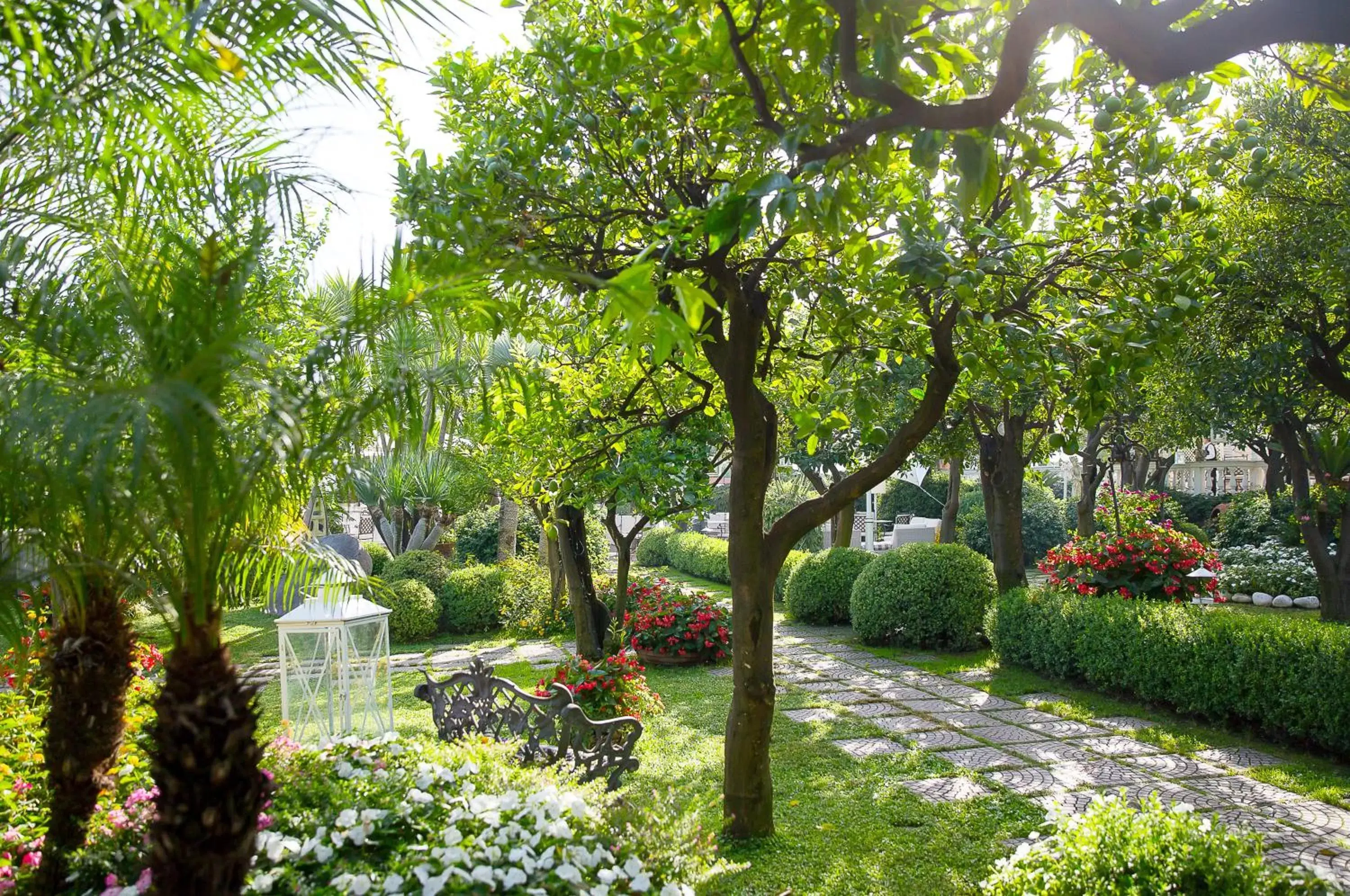 Garden in La Medusa Hotel - Dimora di Charme