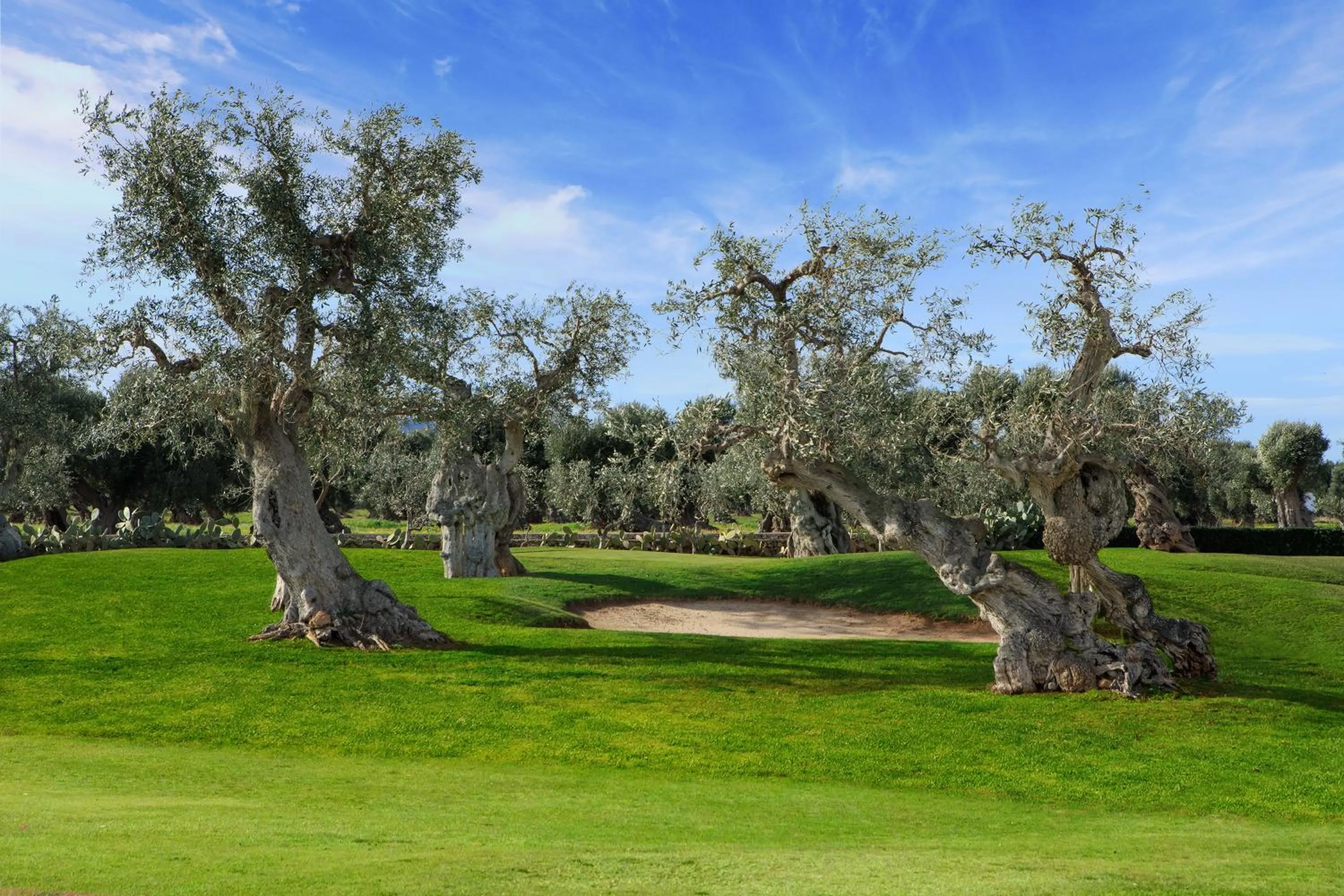 Golfcourse in Rocco Forte Masseria Torre Maizza