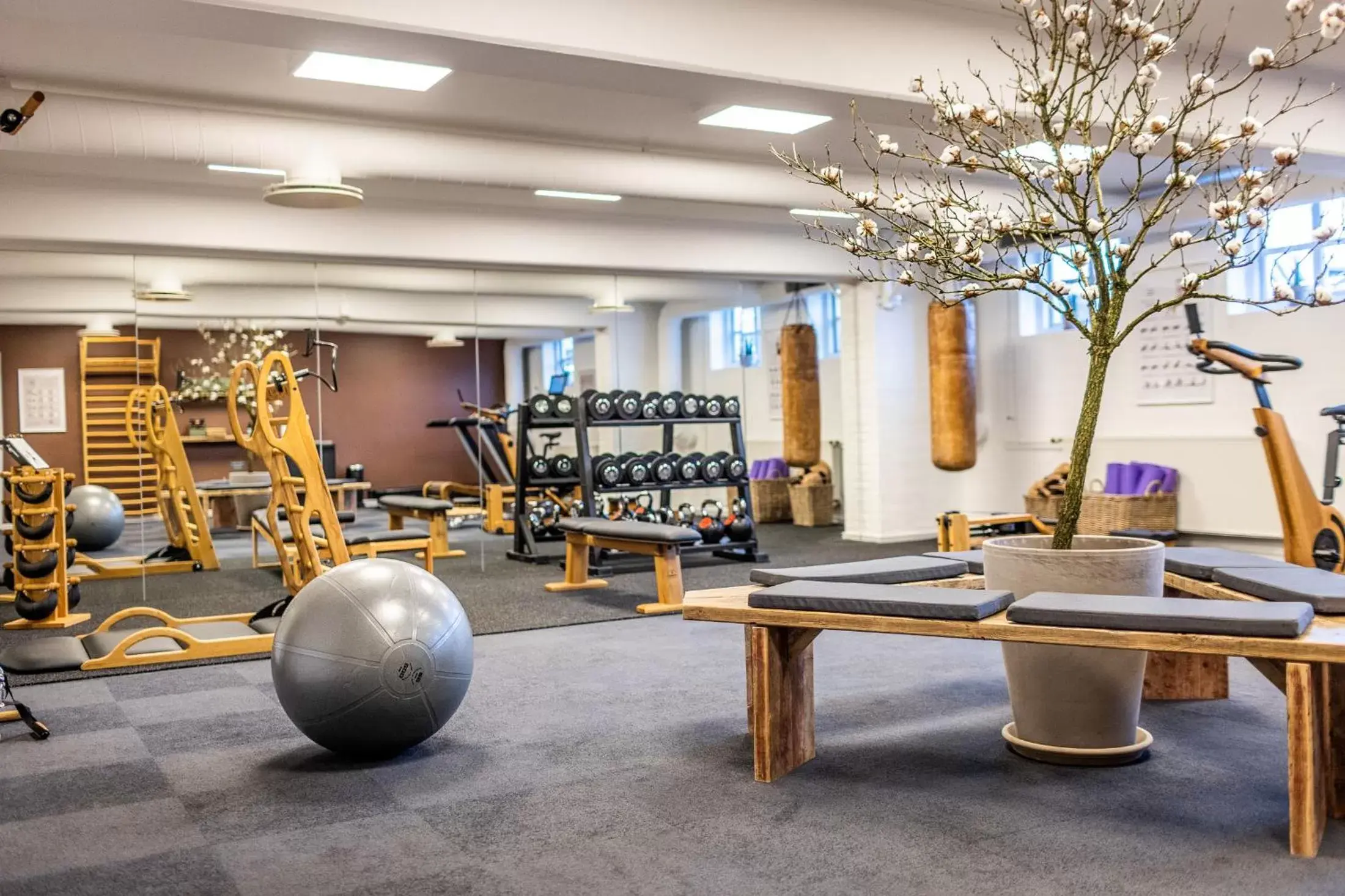 Fitness centre/facilities, Fitness Center/Facilities in The Lodge Billund
