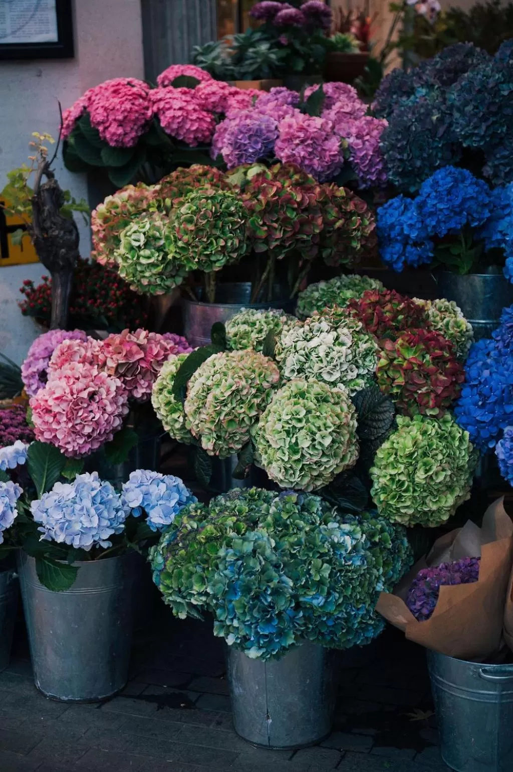 Other in The Tophams Hotel