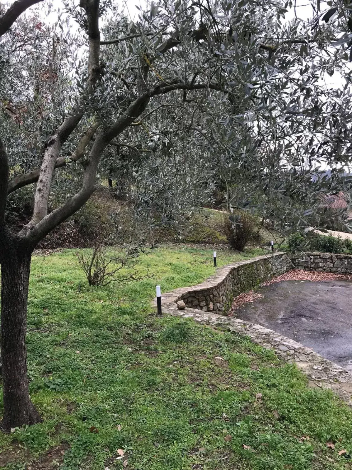 Garden view in La Ghirlanda B&B