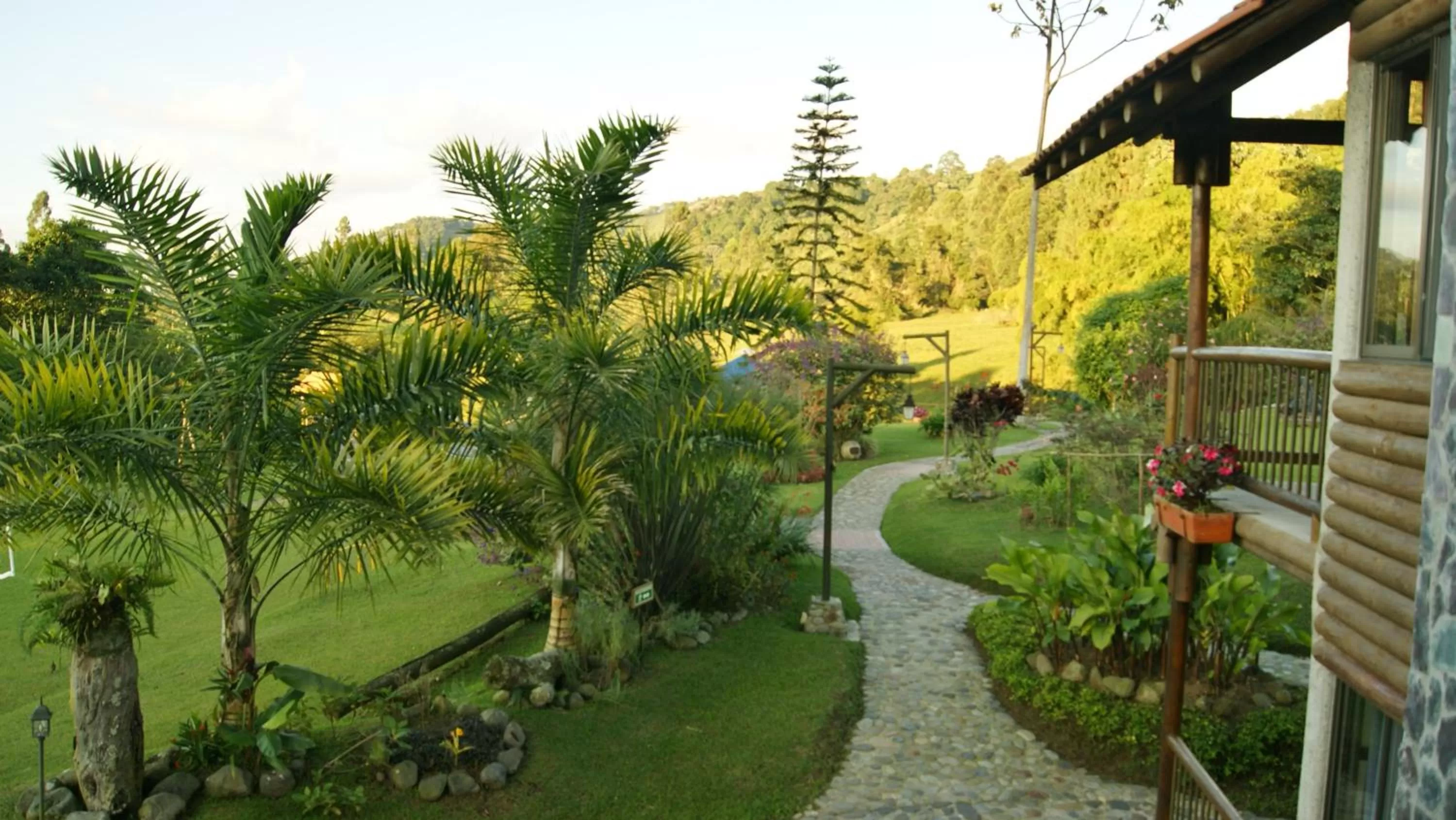 Garden in Matisses Hotel & Spa