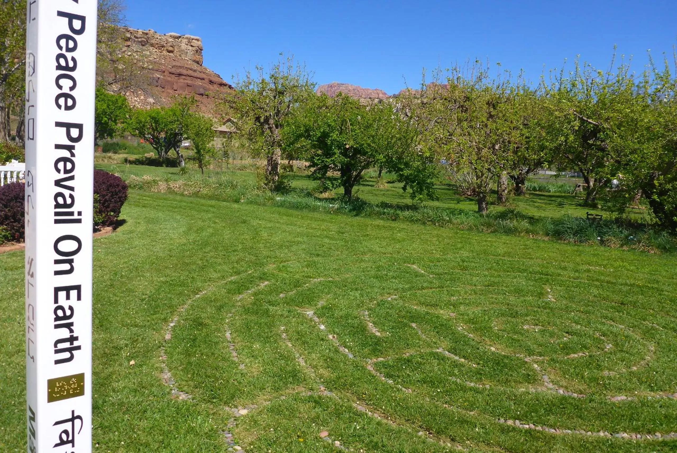 Spring in 2 Cranes Inn - Zion