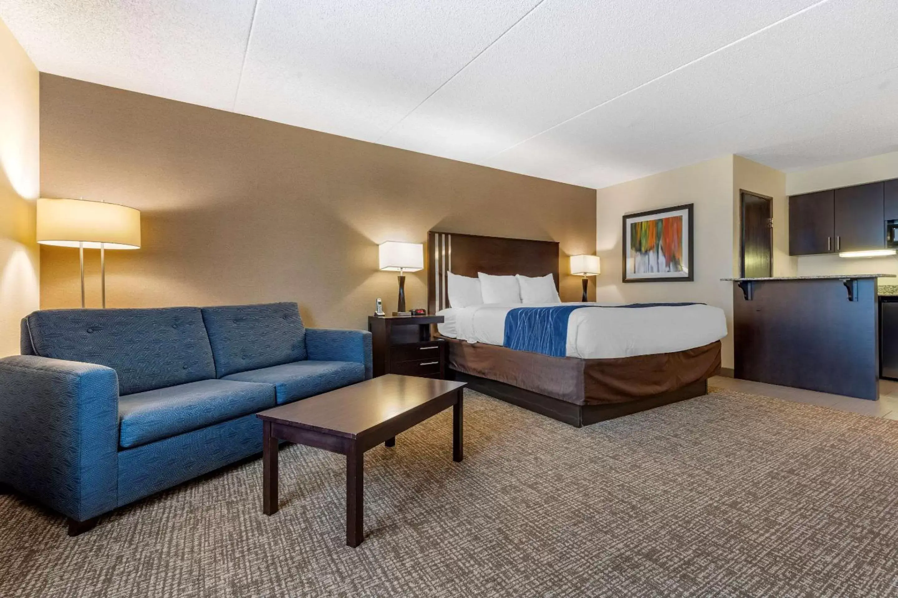 Photo of the whole room in Comfort Inn & Suites Butler