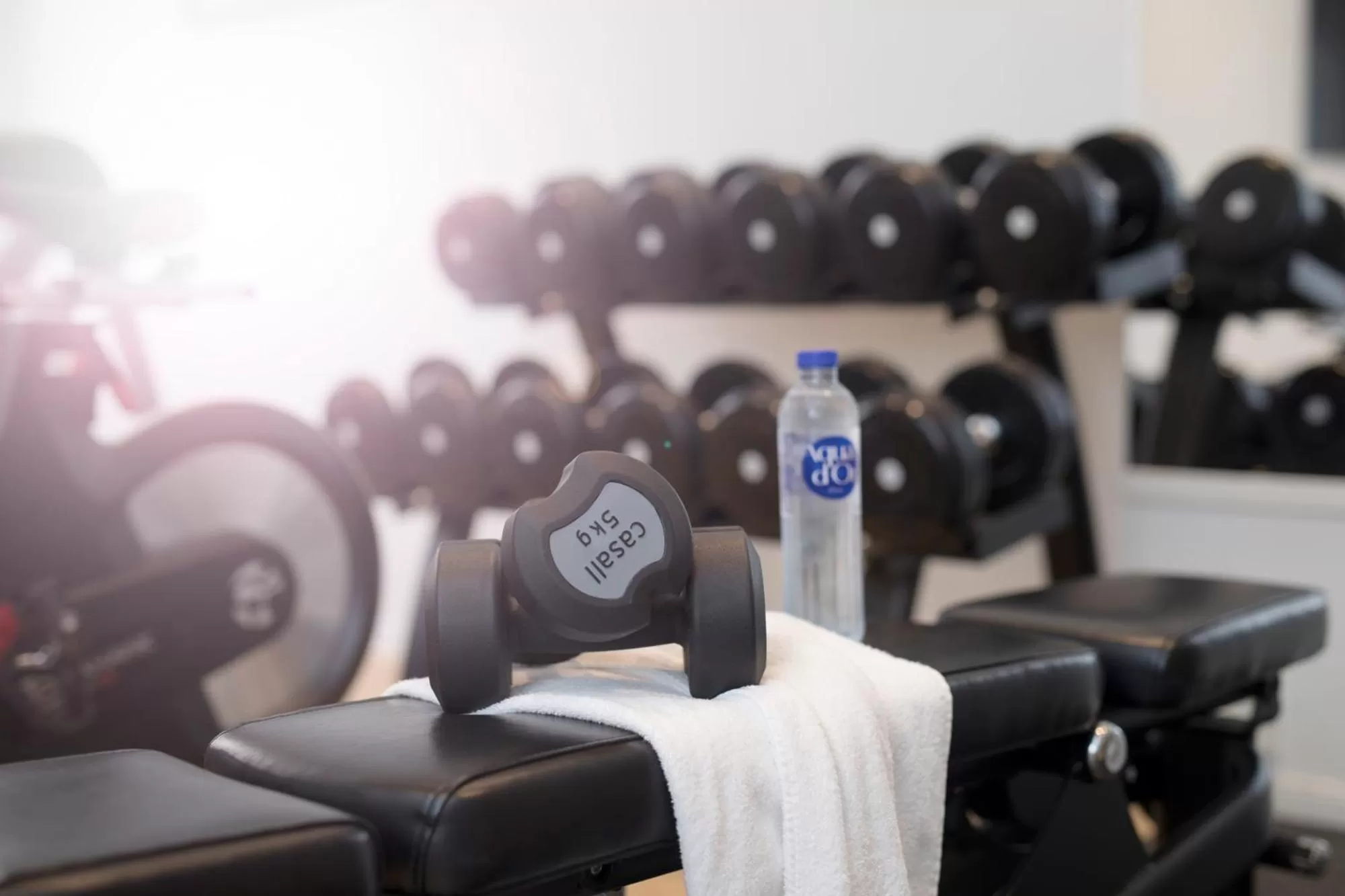 Fitness centre/facilities in ProfilHotels President