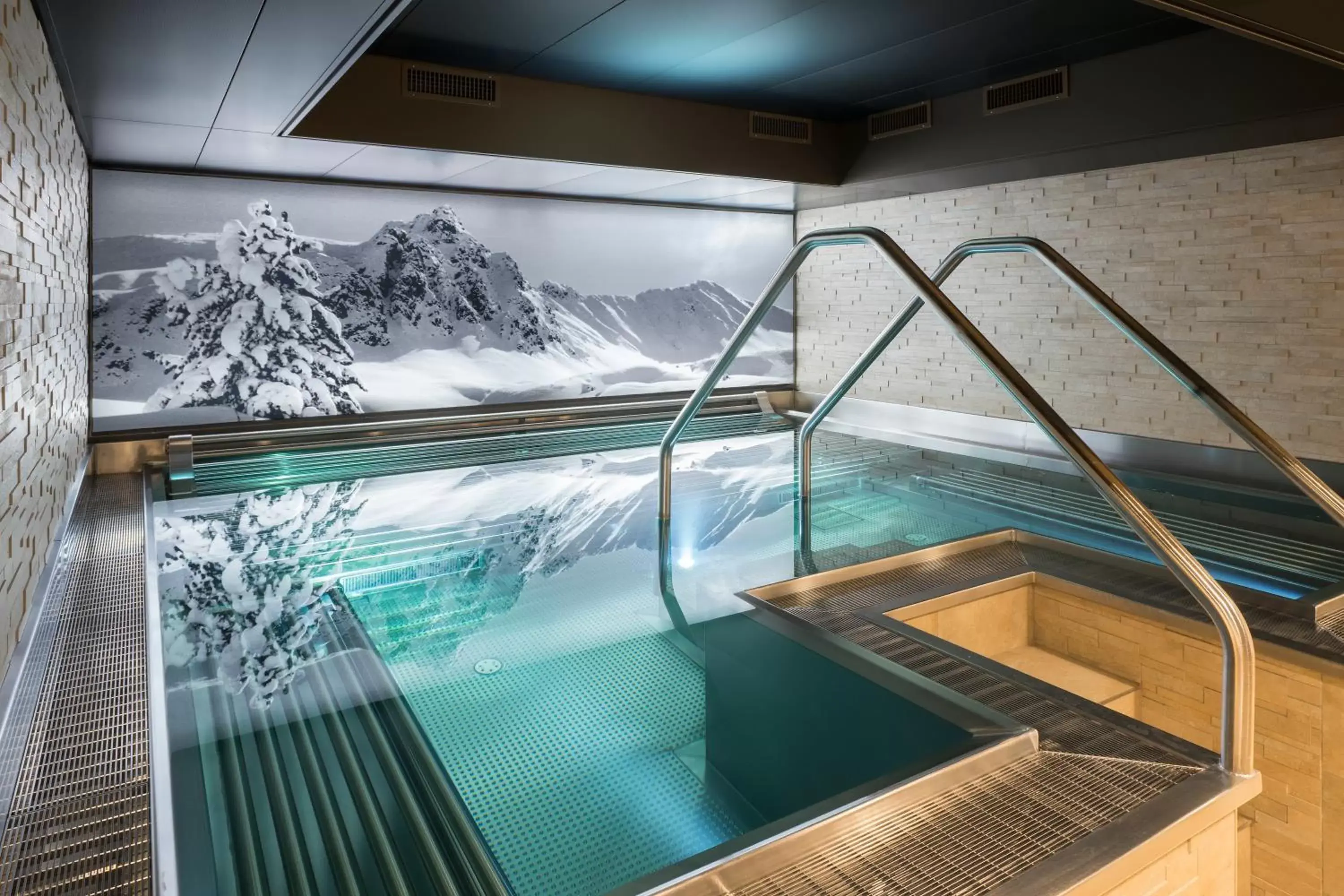 Swimming Pool in Precise Tale Seehof Davos