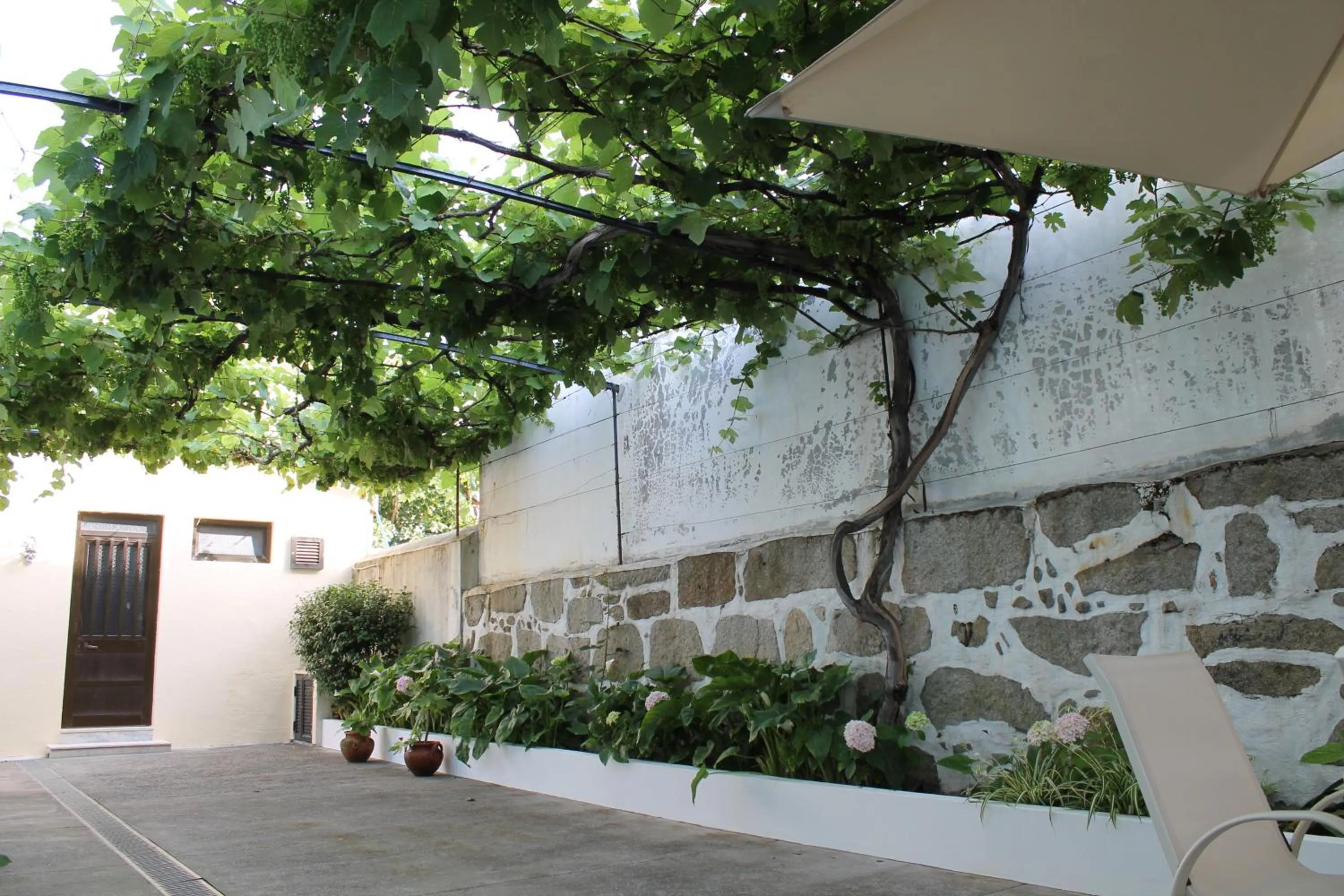 Garden in Hotel Senhor de Matosinhos