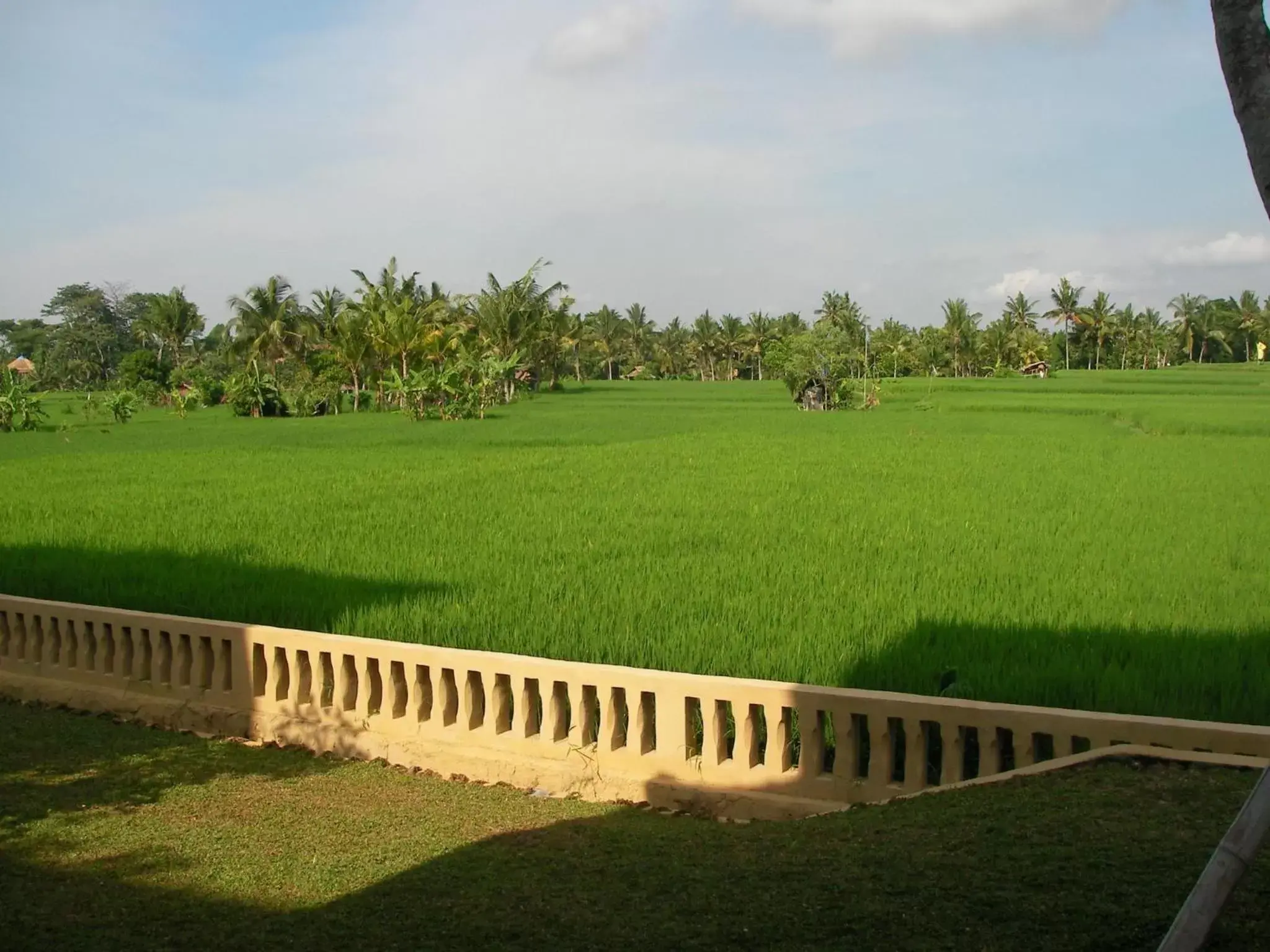 Bird's eye view, Garden in Green Field Hotel and Restaurant