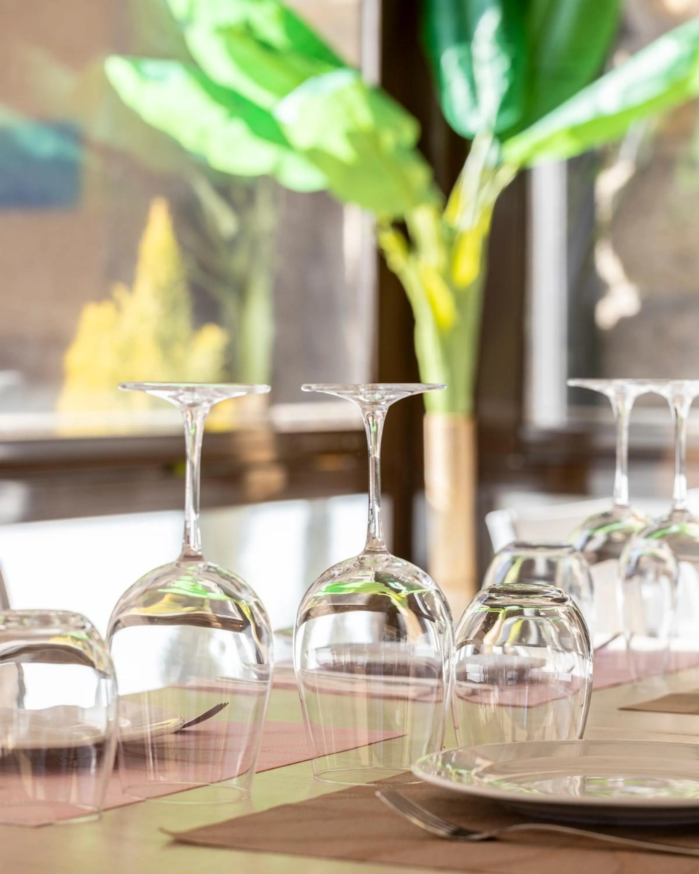 Restaurant/places to eat in Hotel Aroi Bierzo Plaza