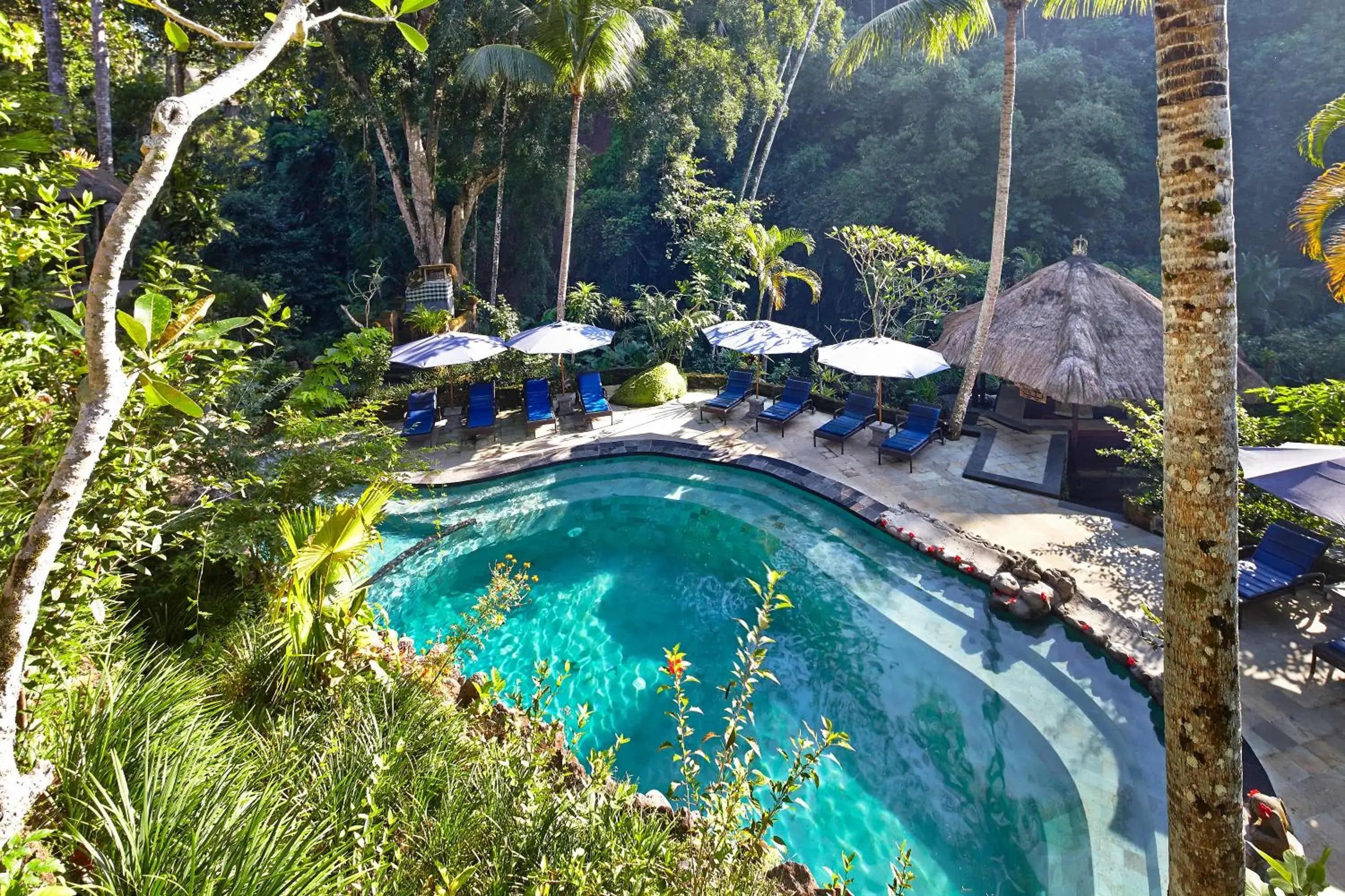 Natural landscape, Pool View in Hotel Tjampuhan Spa