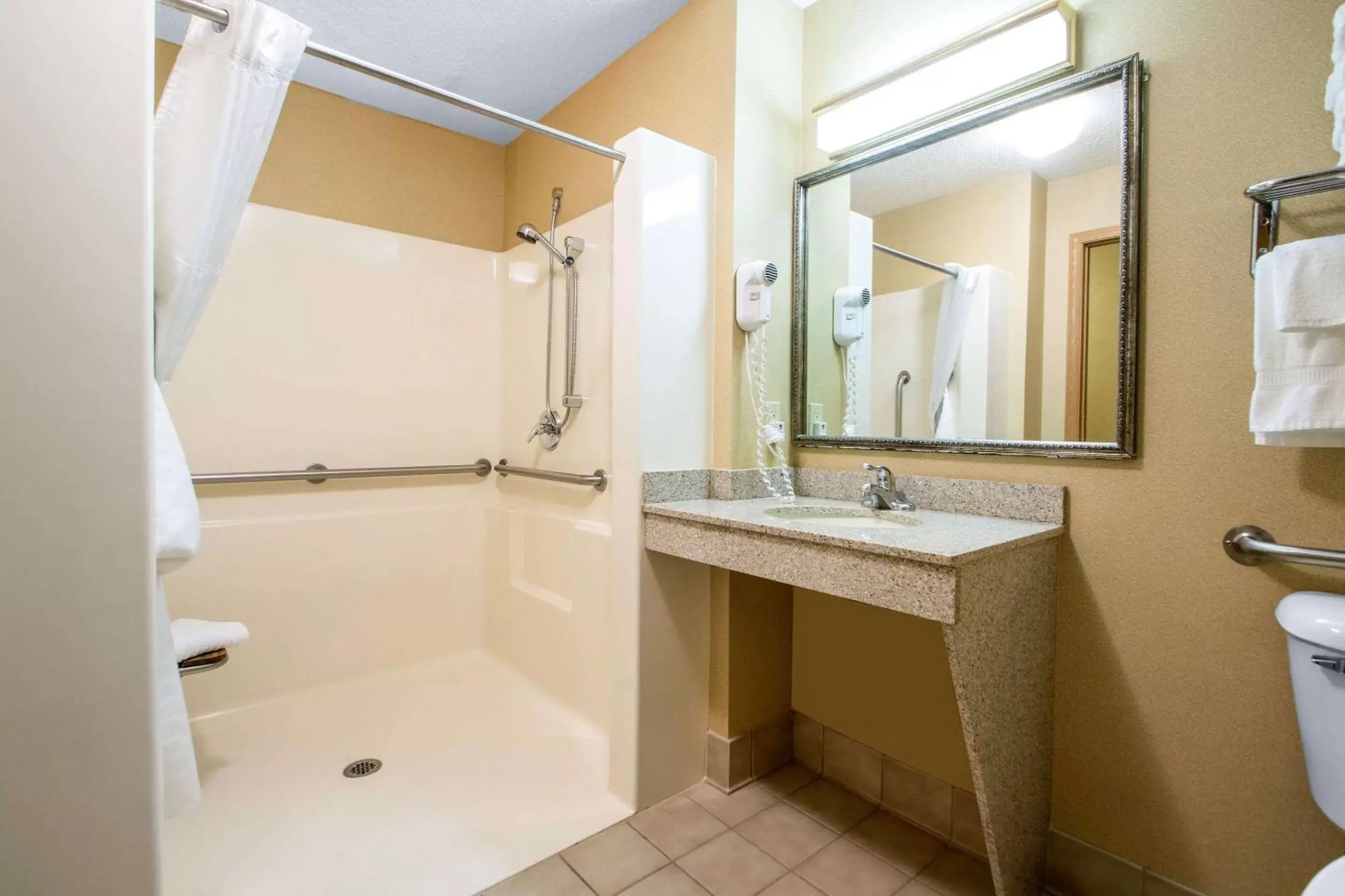 Toilet, Bathroom in Comfort Suites Wisconsin Dells Area