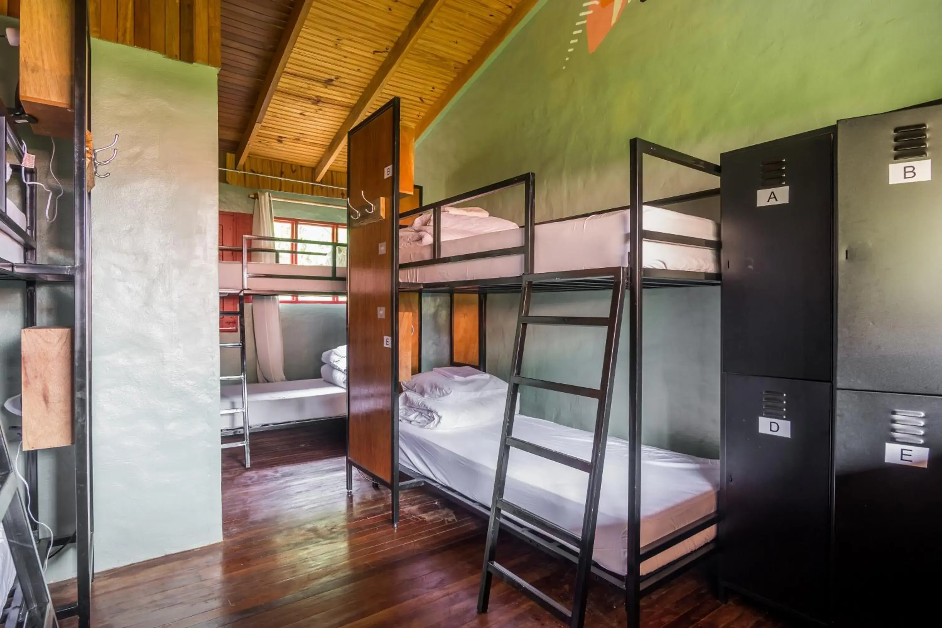 Private 6-Bed Room in Selina Monteverde