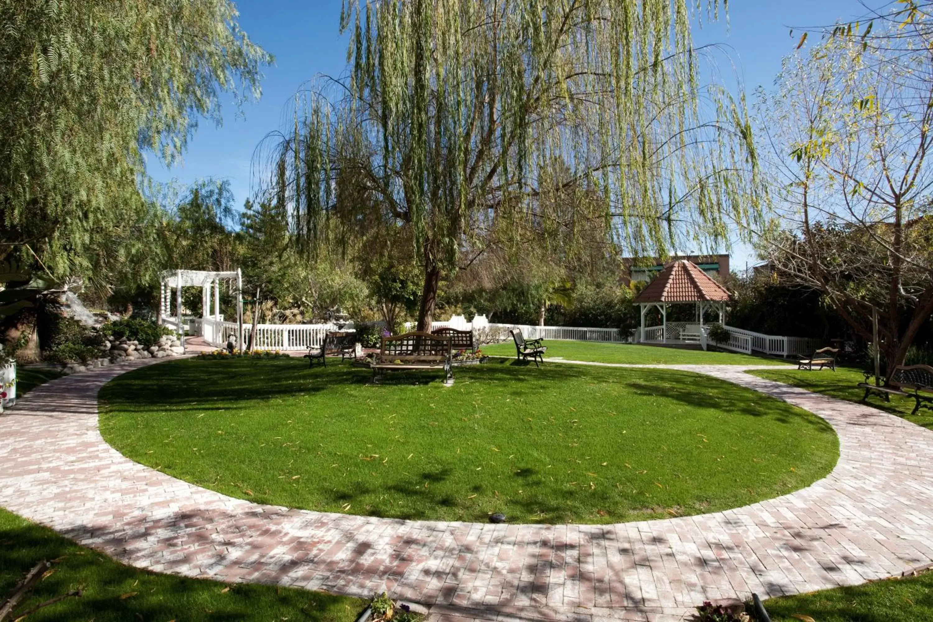 Garden in Hotel Burbank