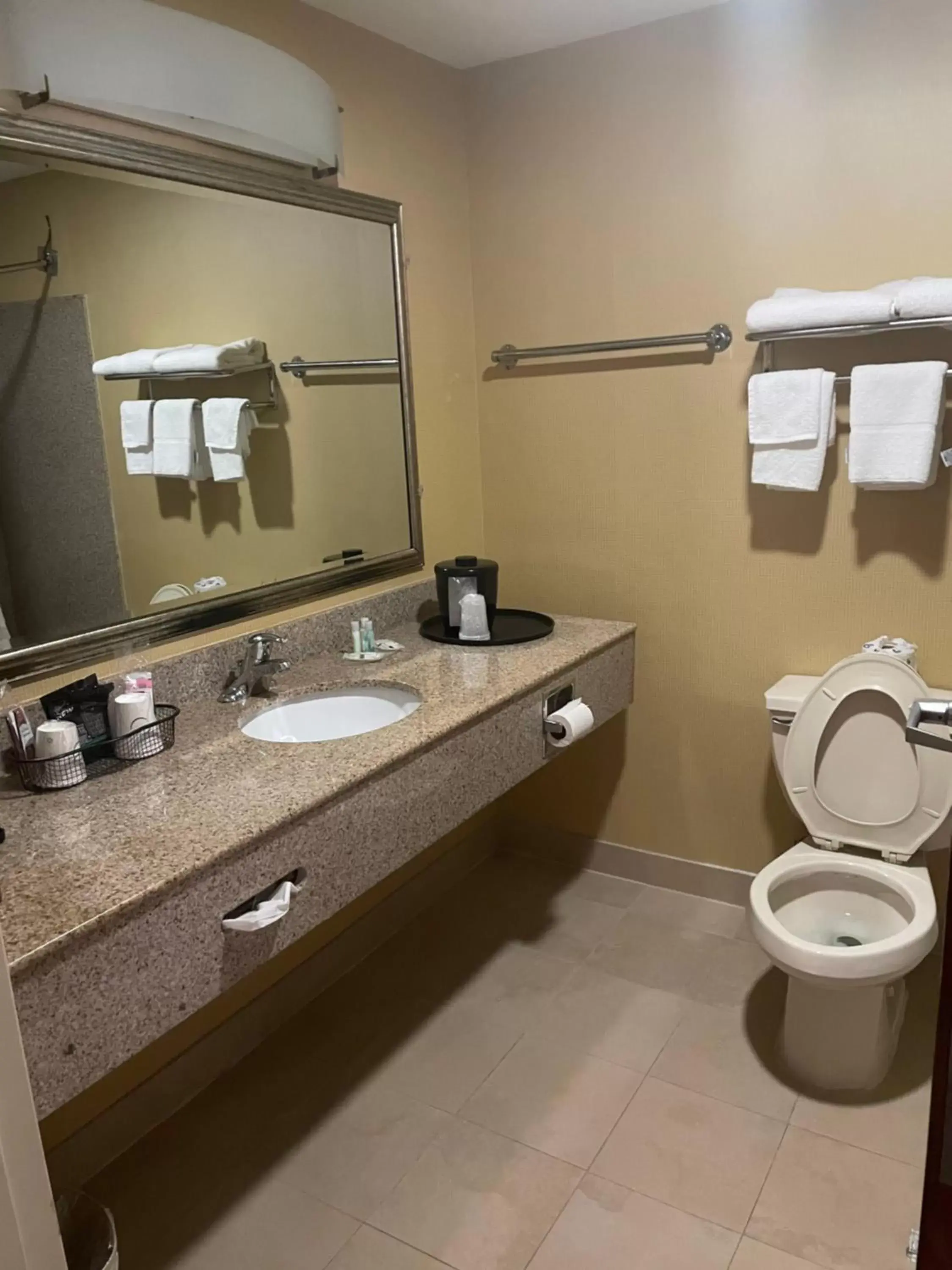 Bathroom in Quality Inn Vineland – Millville