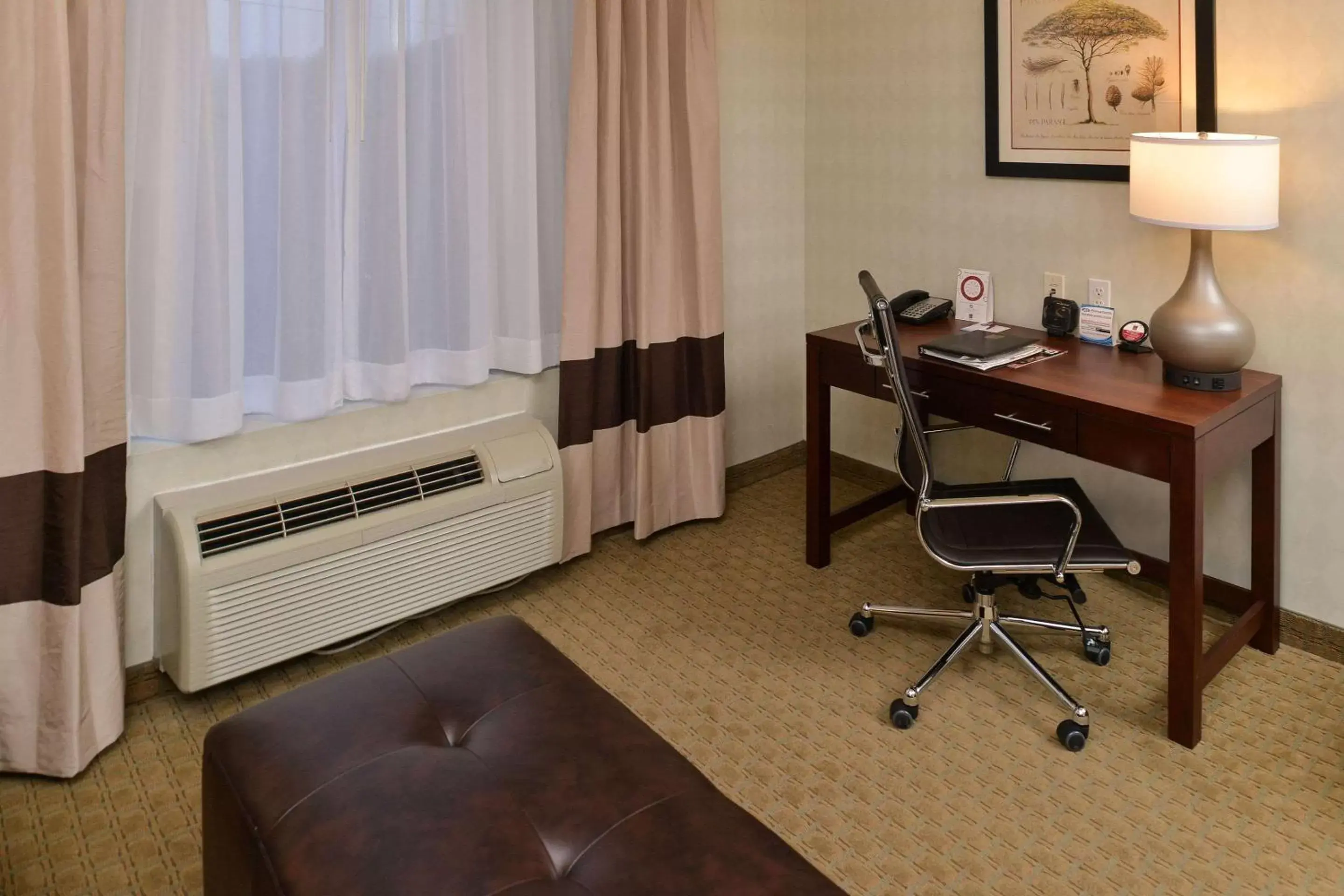 Photo of the whole room in Comfort Suites Airport Tukwila Seattle