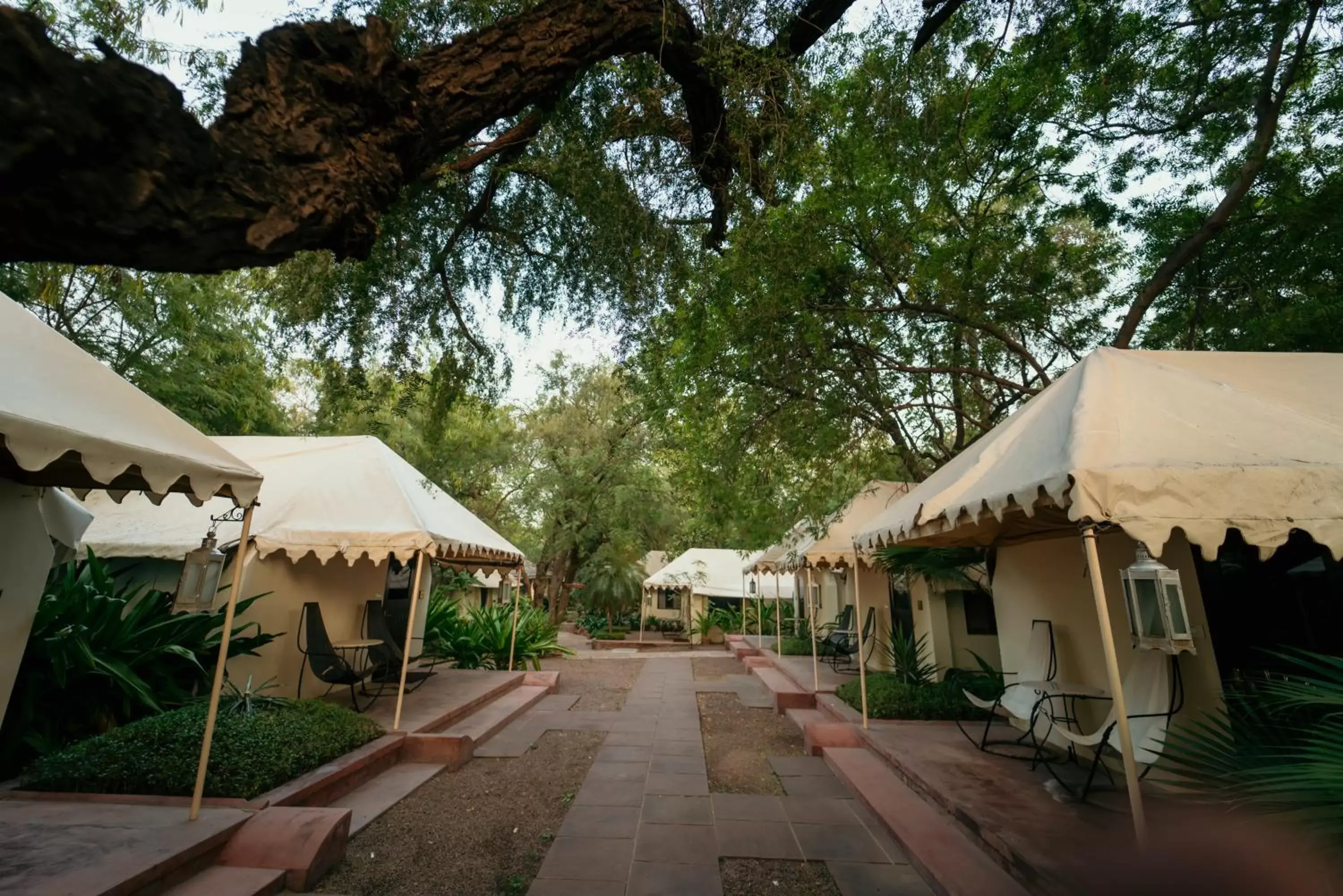 Garden view in Ajit Bhawan - A Palace Resort Garden view in Ajit Bhawan - A Palace Resort