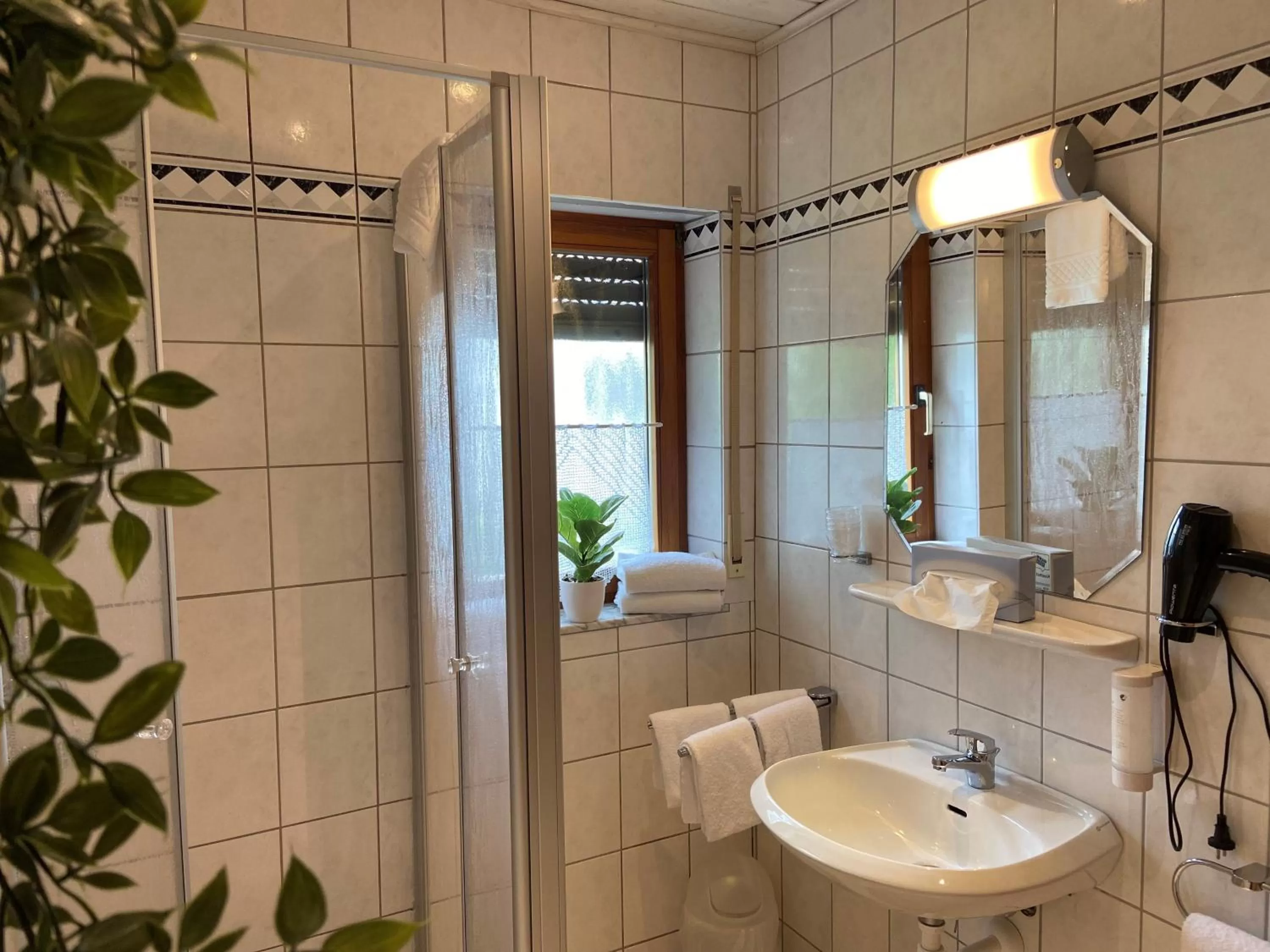 Shower in Hotel Bett & Frühstück