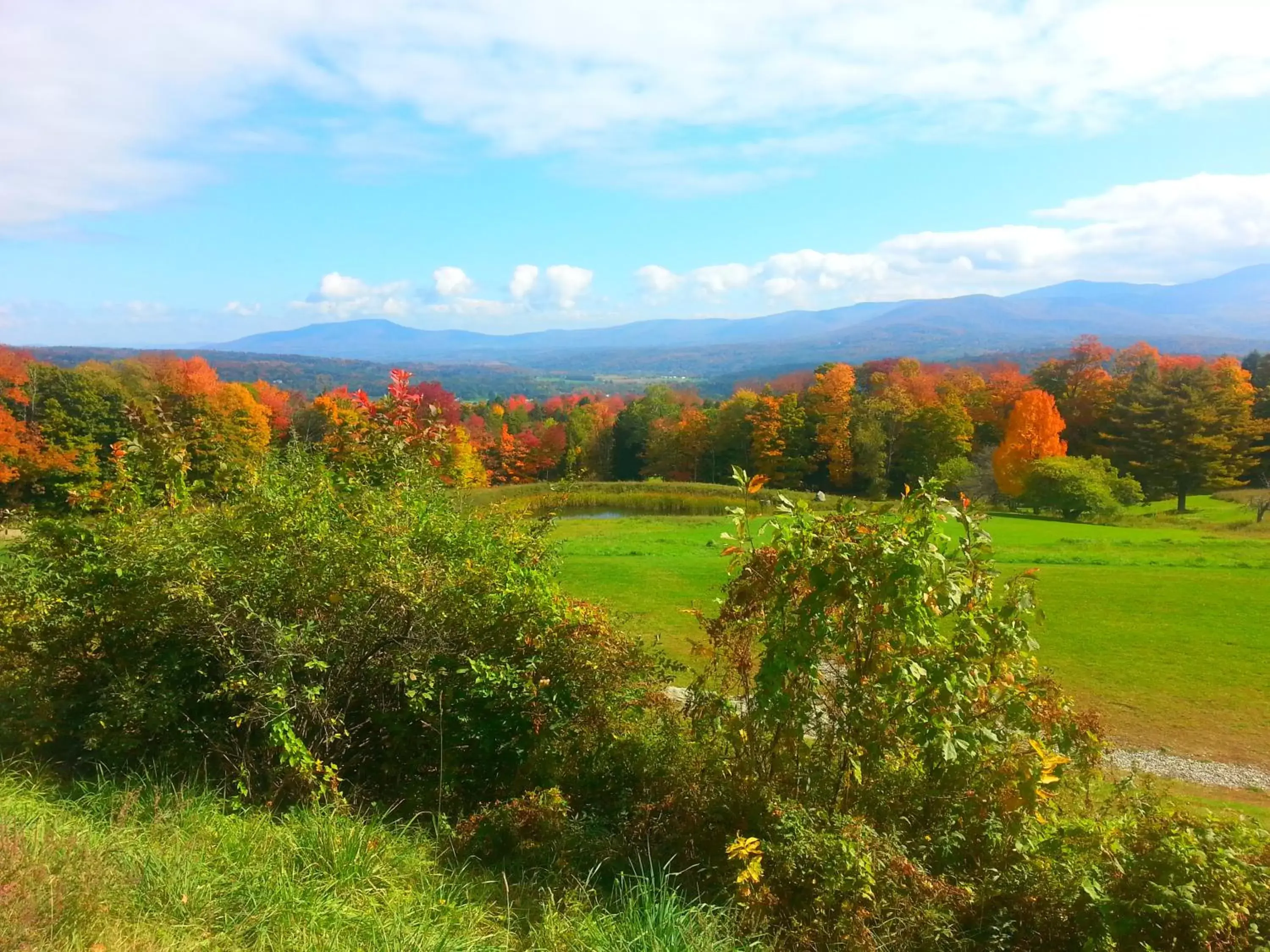 Natural Landscape in Brass Lantern Inn