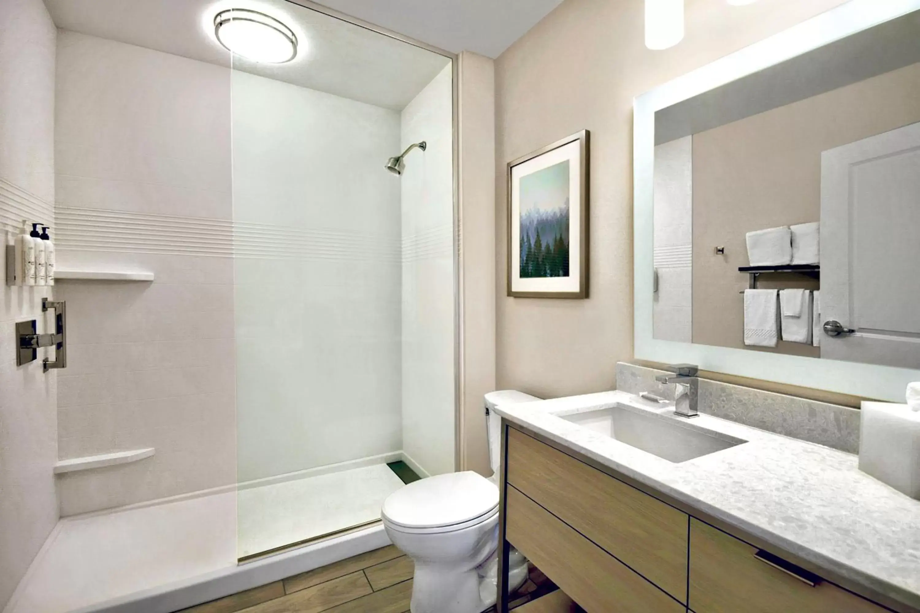 Bathroom in TownePlace Suites by Marriott Asheville West