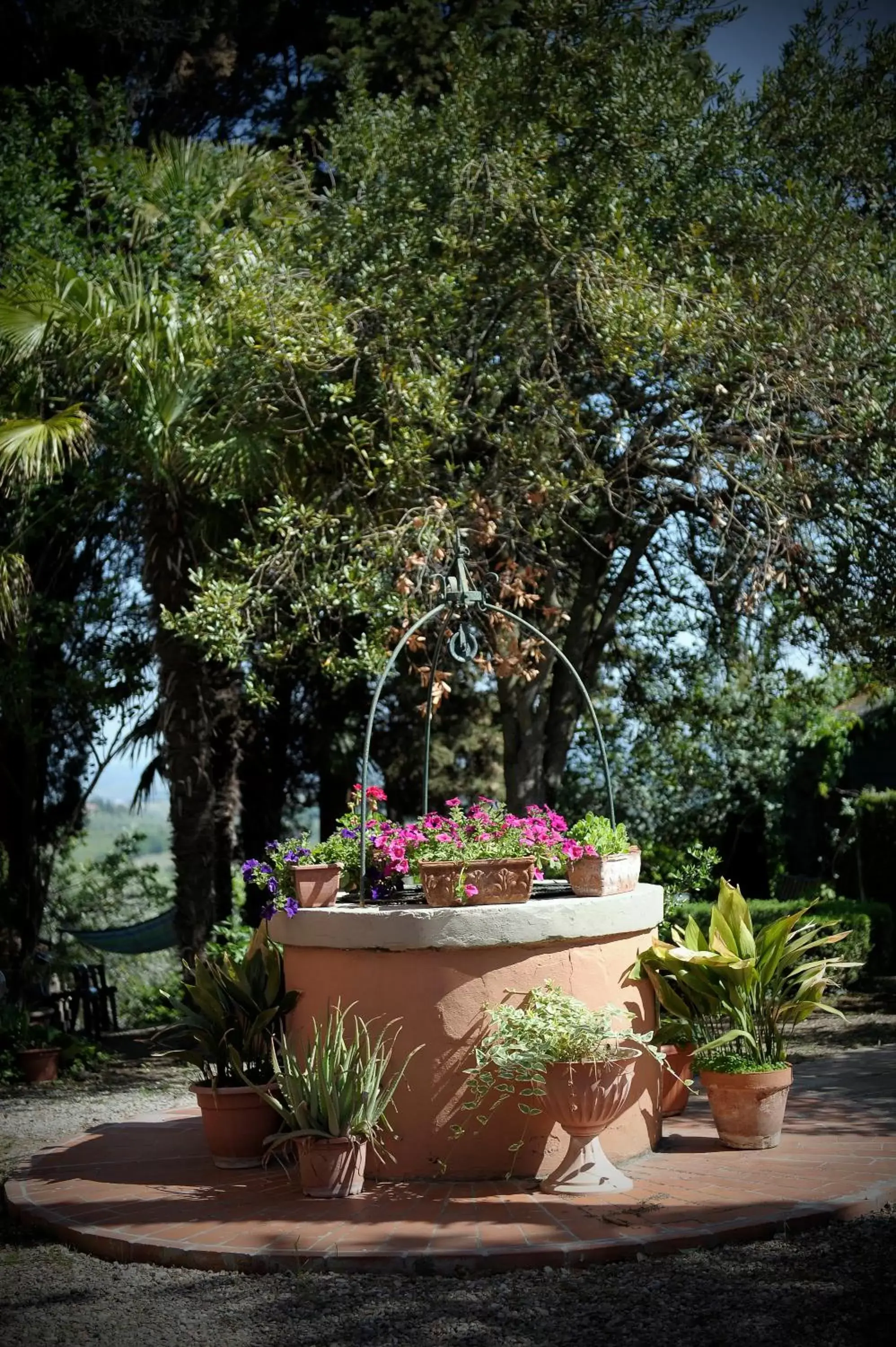 Garden in Hotel Villa Belvedere