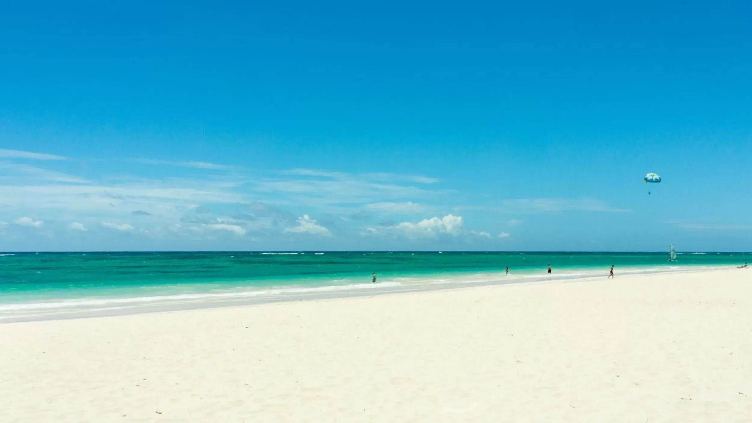 Beach in Princess Family Club Bavaro - All Inclusive