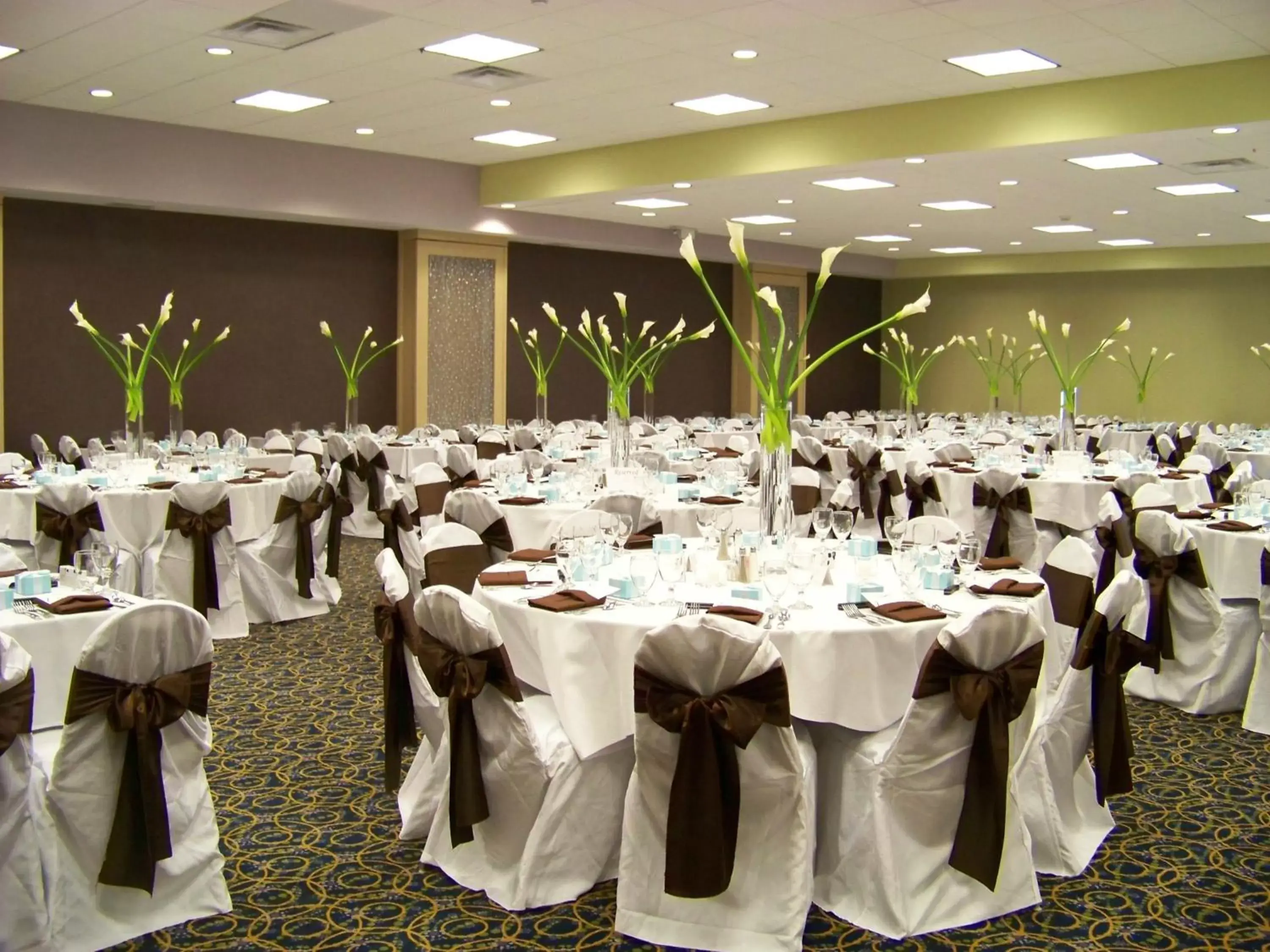 Banquet/Function facilities, Banquet Facilities in Holiday Inn Rock Springs, an IHG Hotel