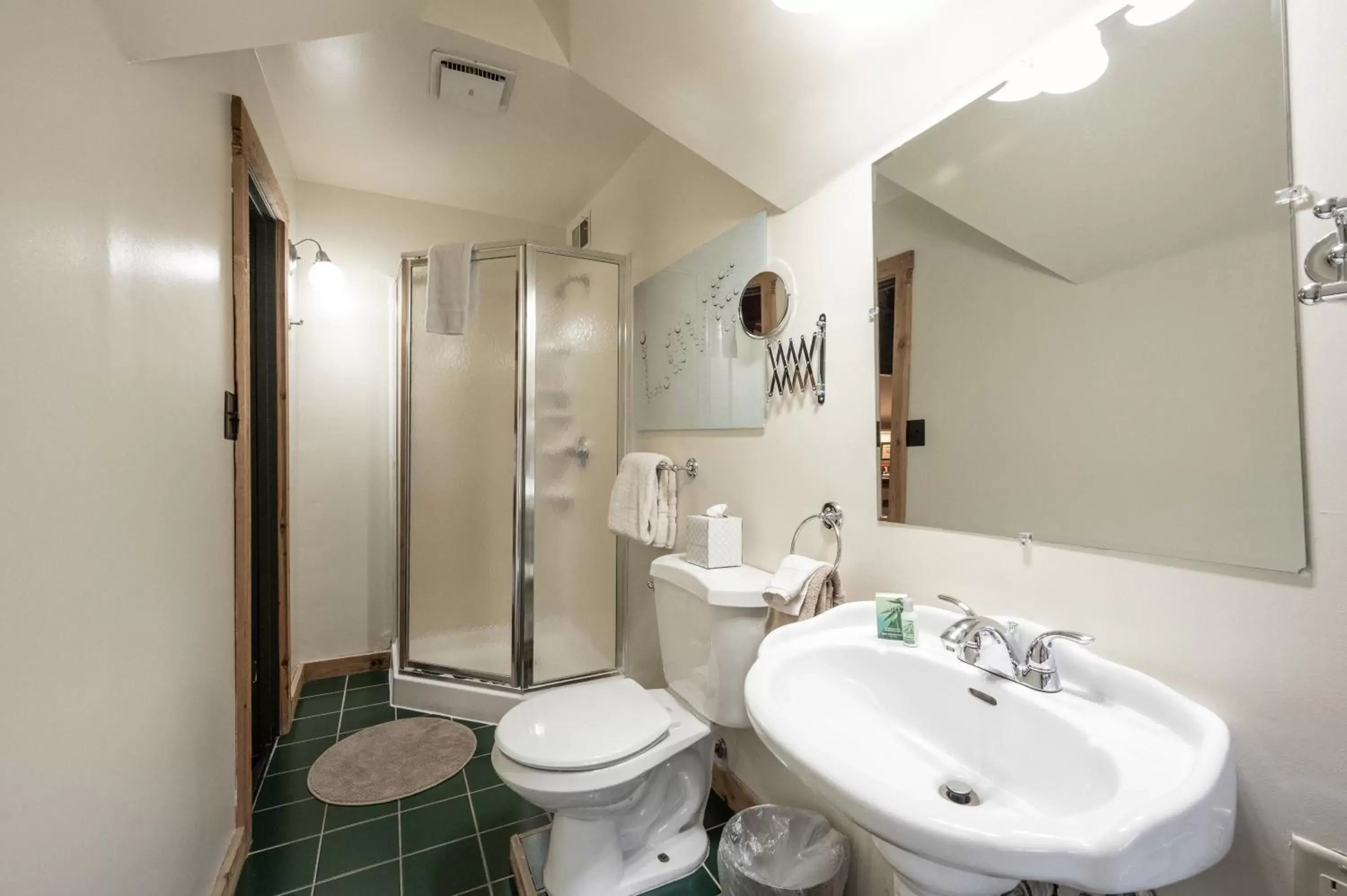 Shower, Bathroom in Stone Soup Inn