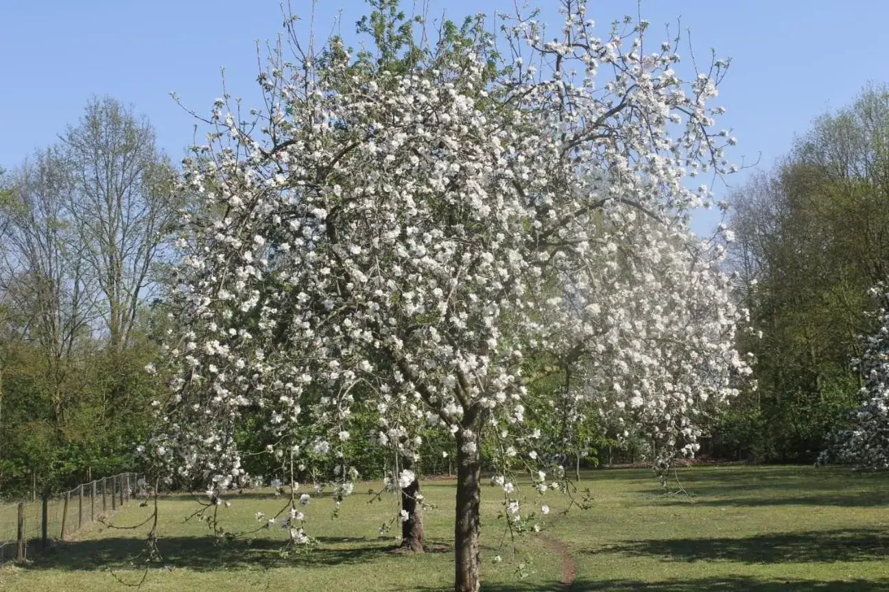 Garden in Beej Potters