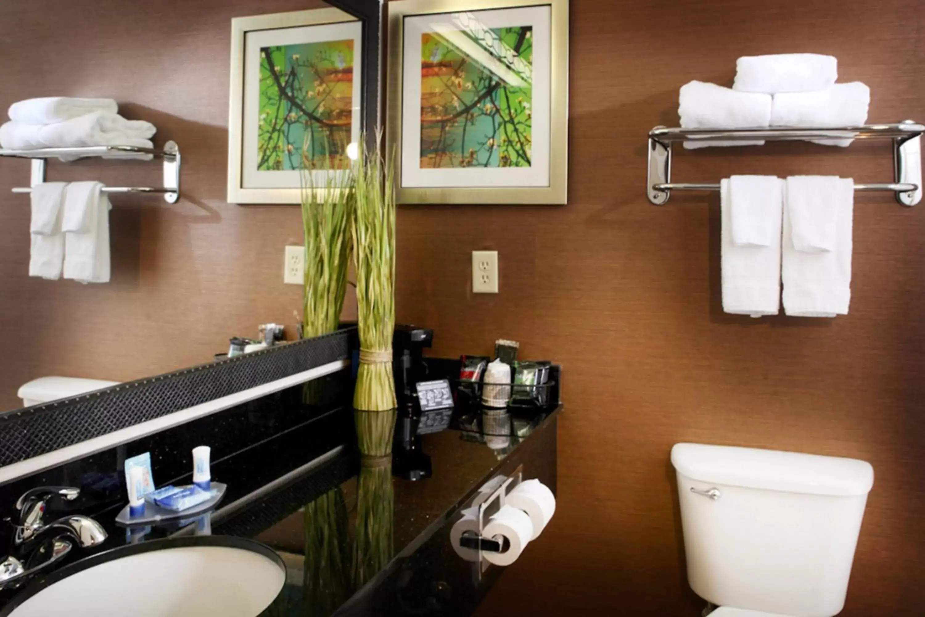 Bathroom in Fairfield Inn and Suites by Marriott Cincinnati Eastgate
