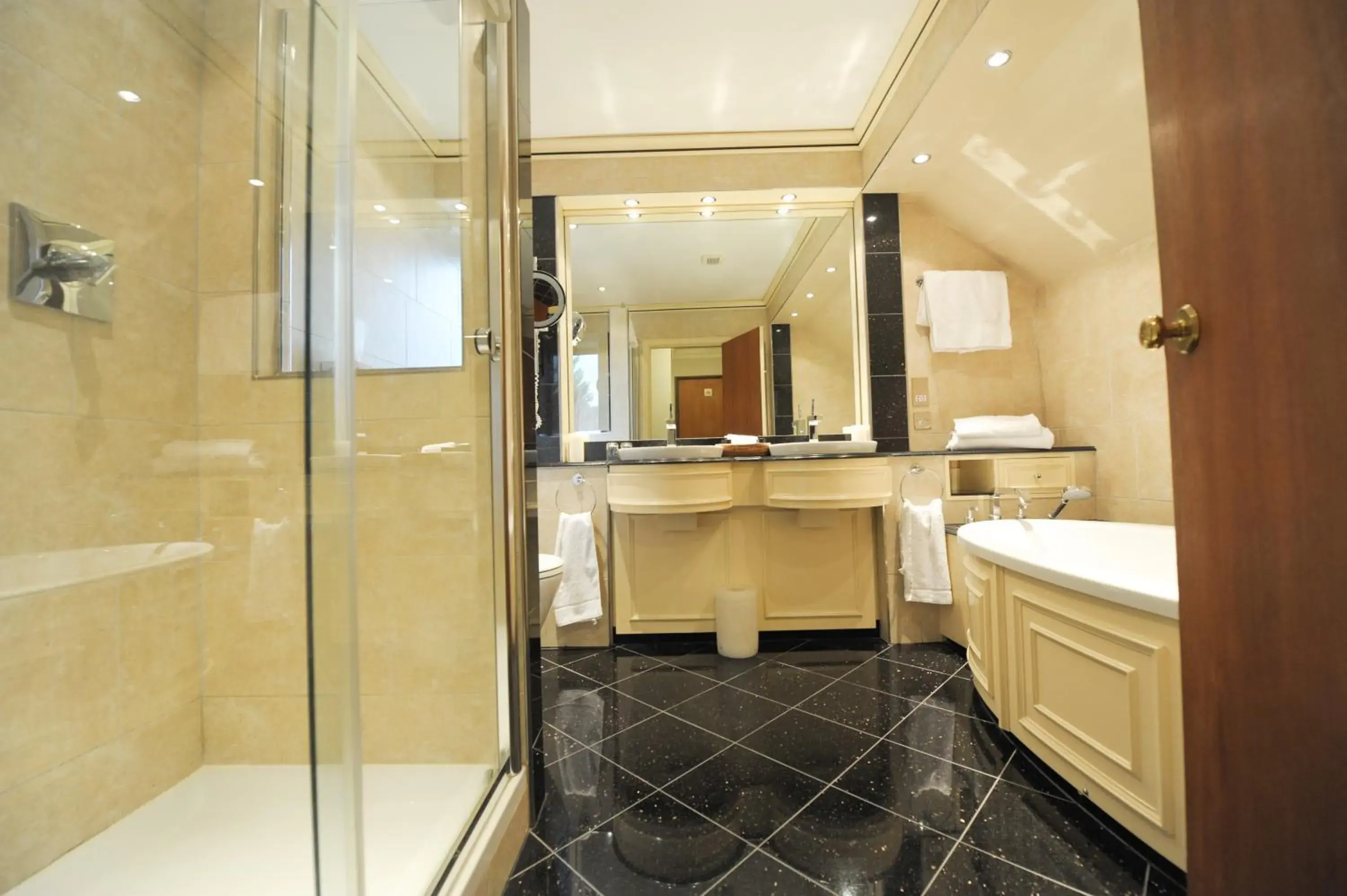 Shower, Bathroom in Fredrick's Hotel Restaurant Spa