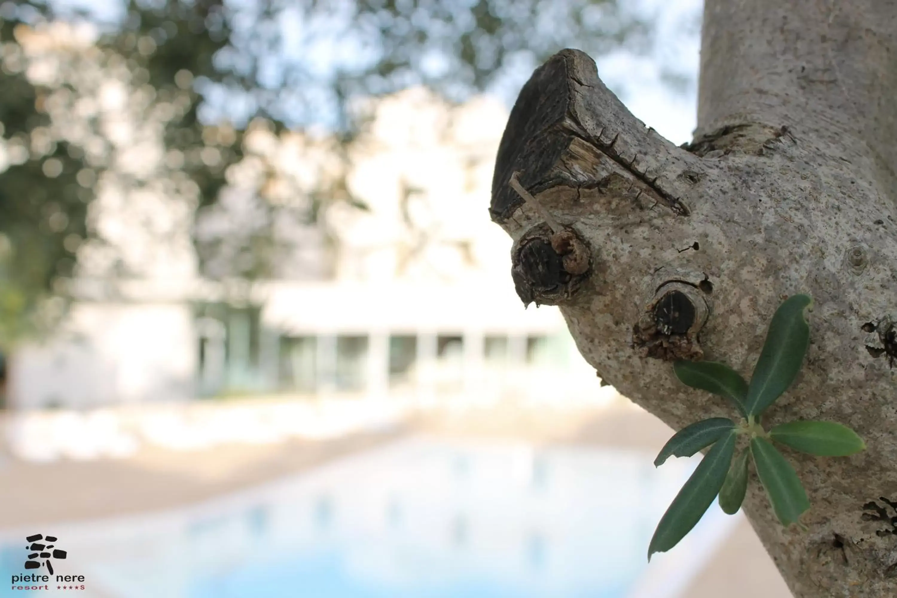 Swimming pool in Pietre Nere Resort & Spa